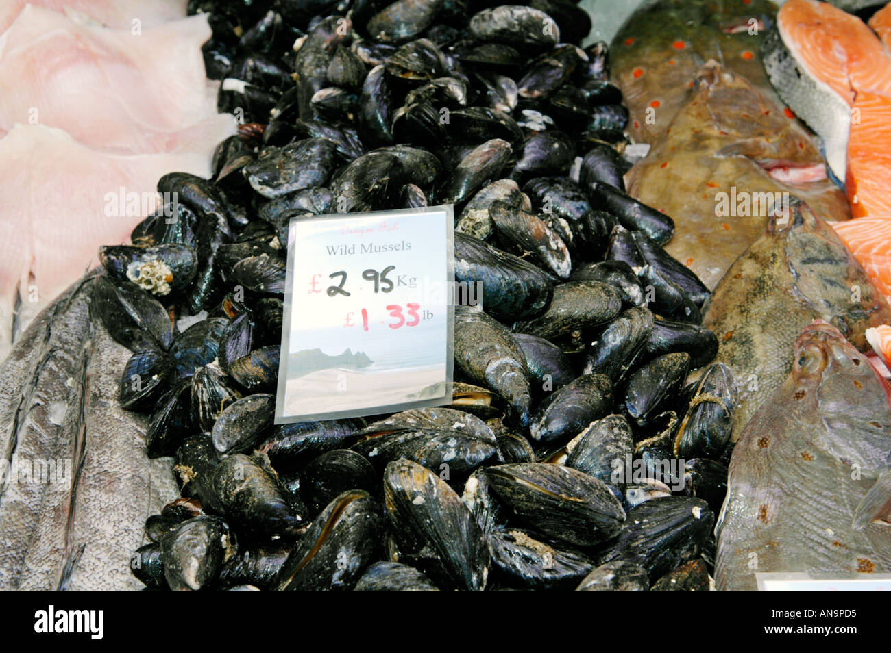 Mejillones frescos en pescadería