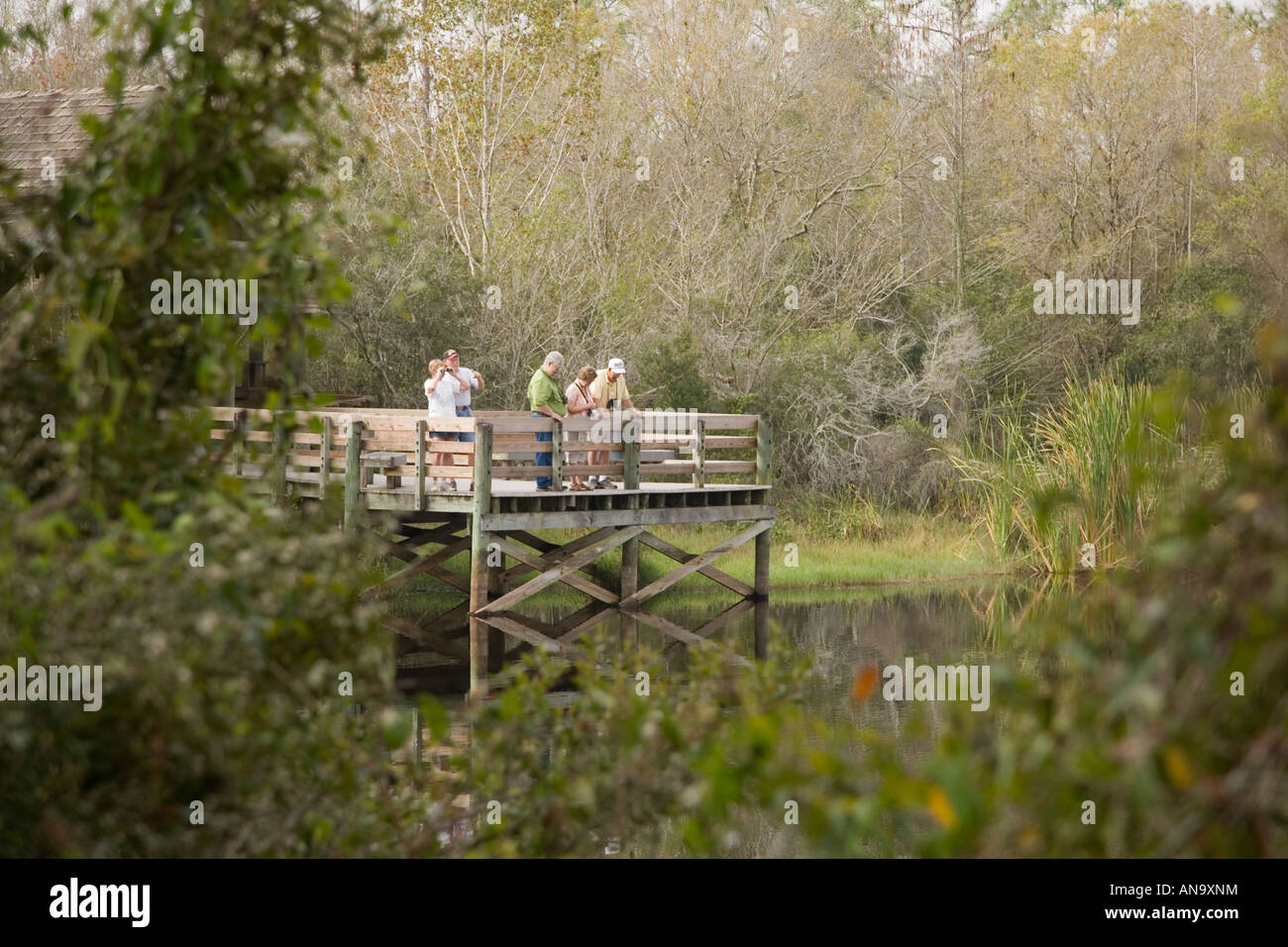 Six Mile Cypress Slough Preserve en Lee County Fort Myers Florida Foto de stock