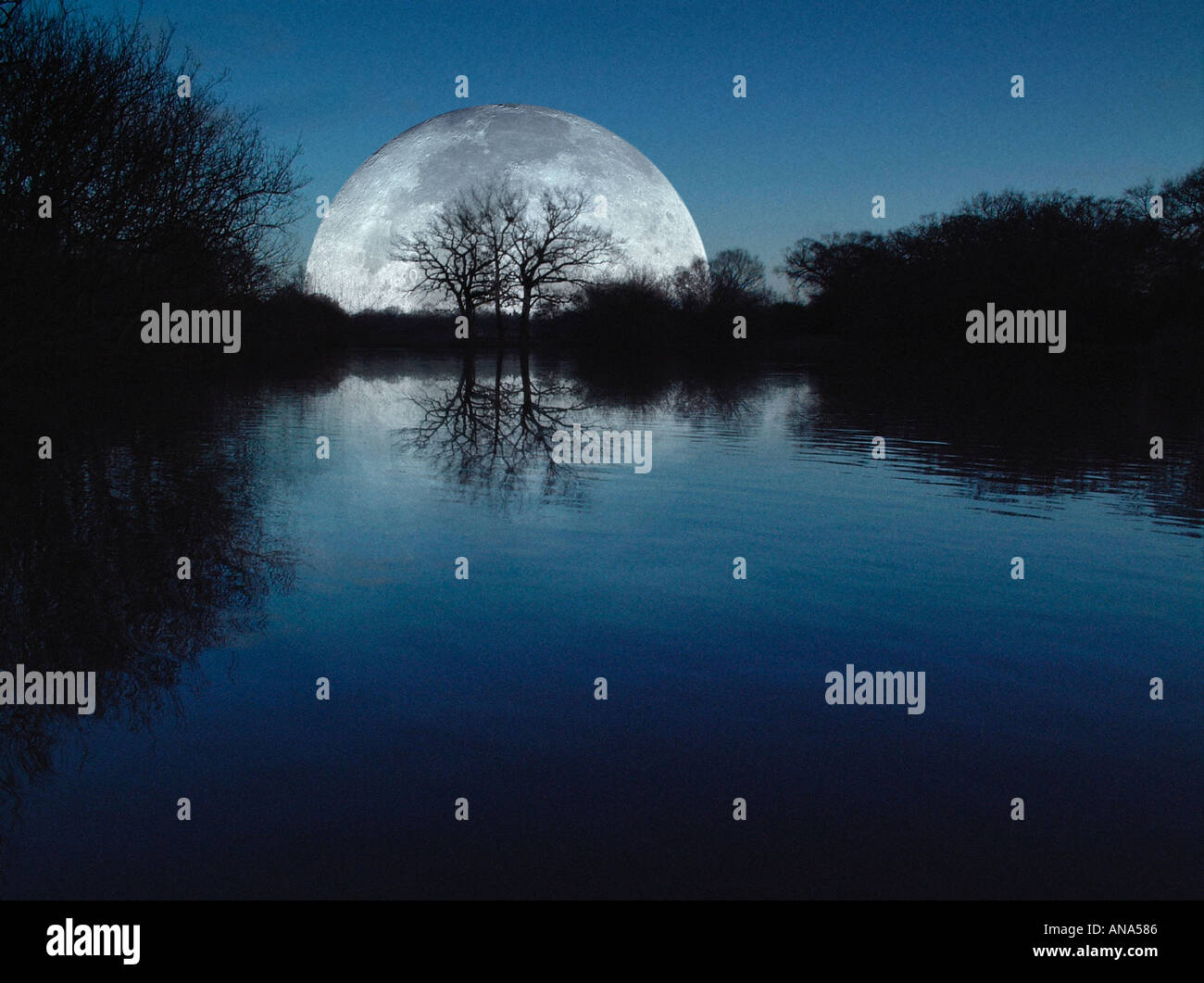Luna sobre el lago con siluetas de árboles Foto de stock