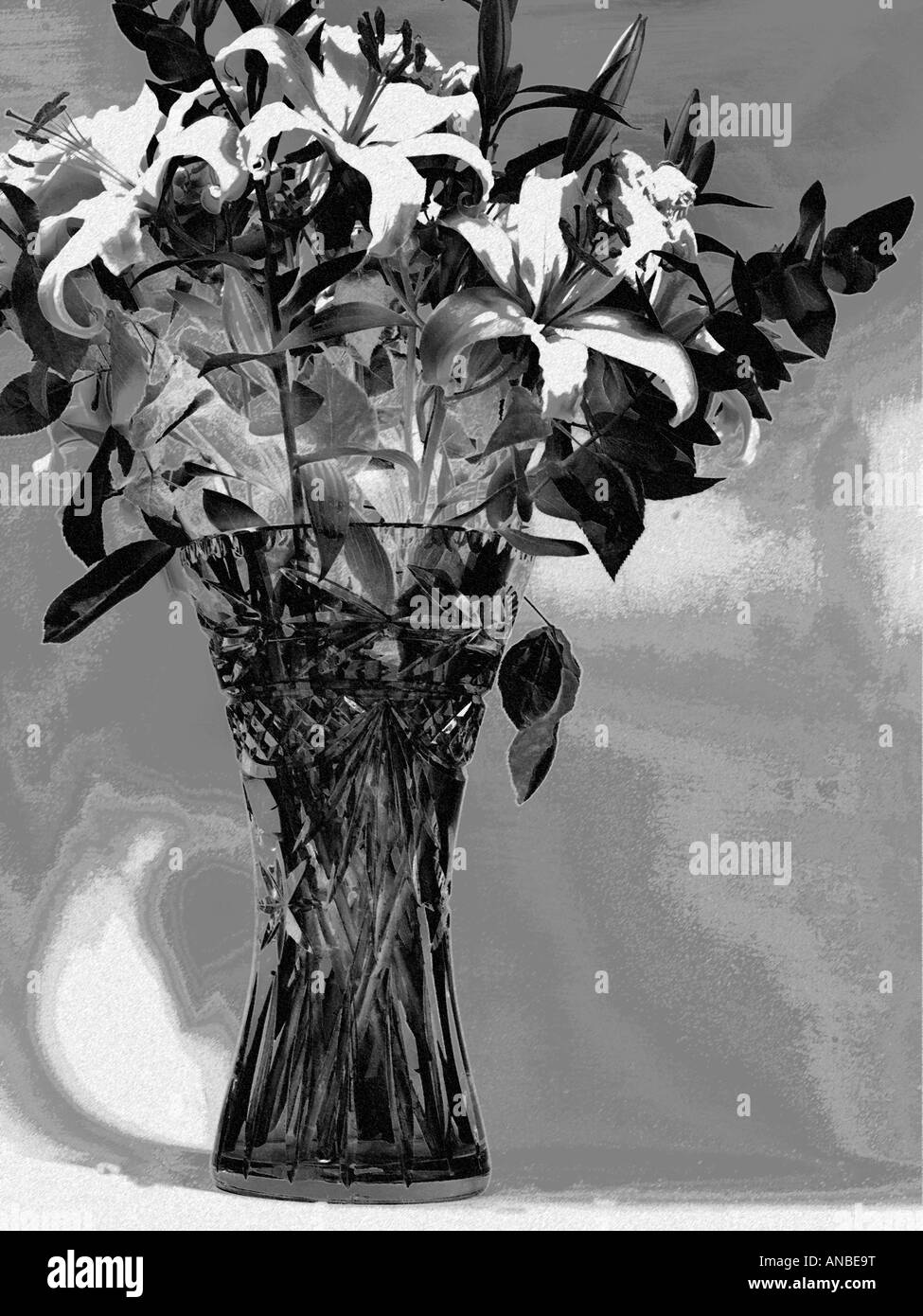 Flores de cristal Imágenes de stock en blanco y negro - Alamy