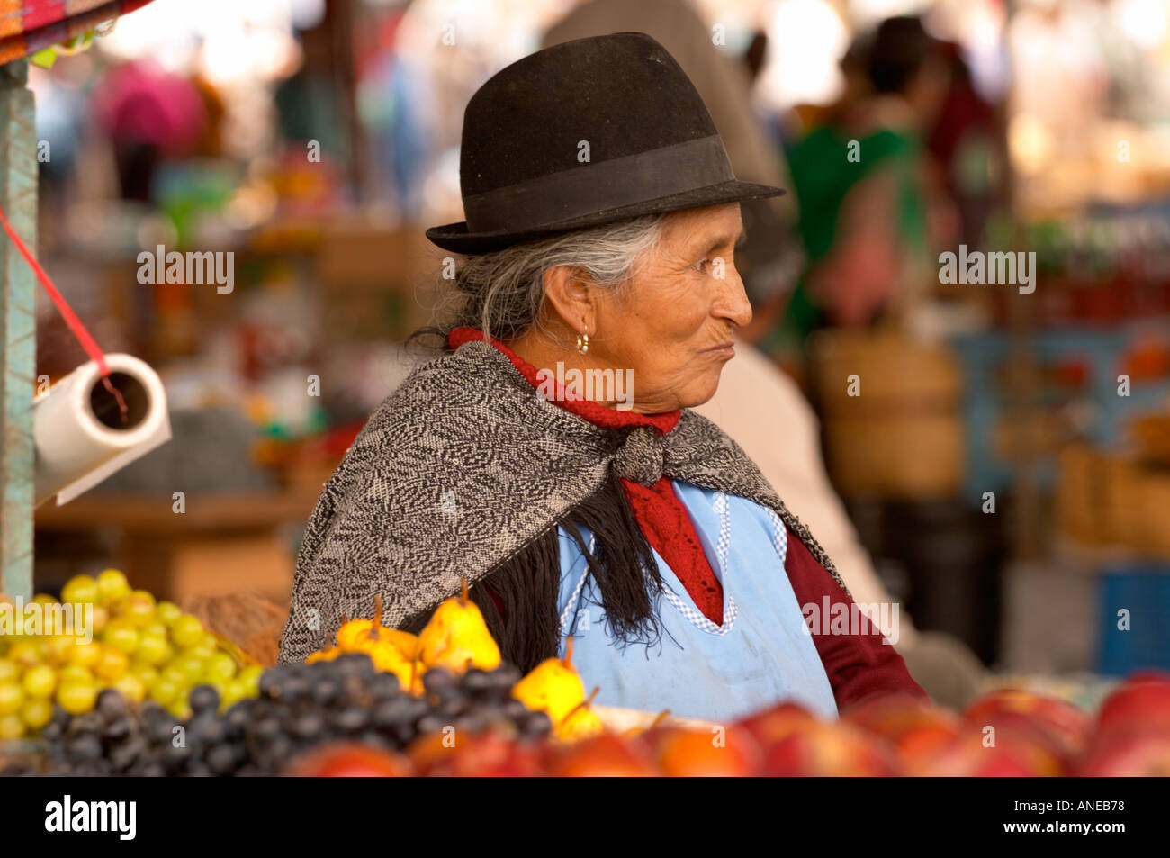Pujili fotografías e imágenes de alta resolución Alamy