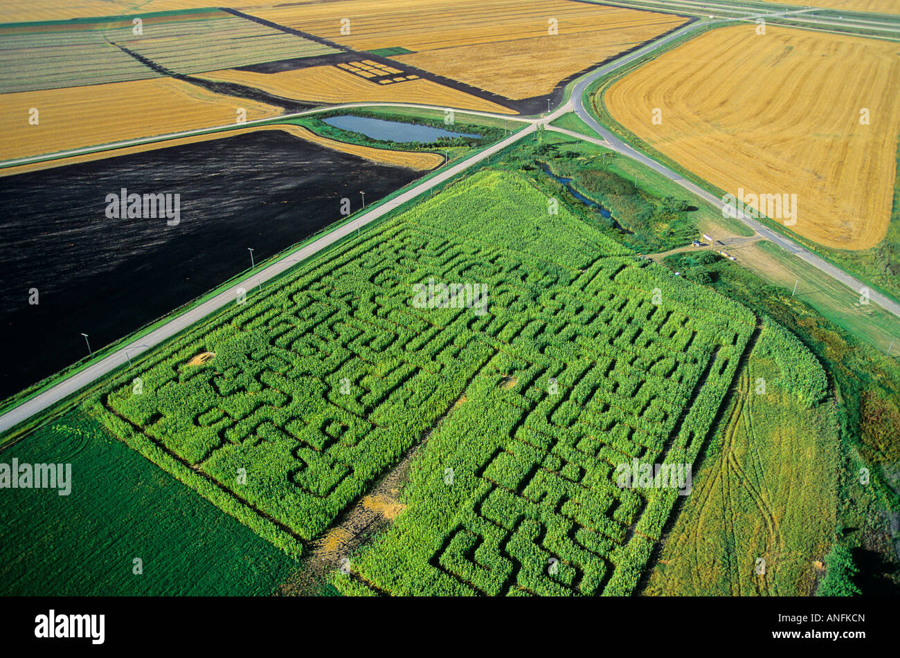 Campos volando laberintos horizontales nadie temporada rural estaciones