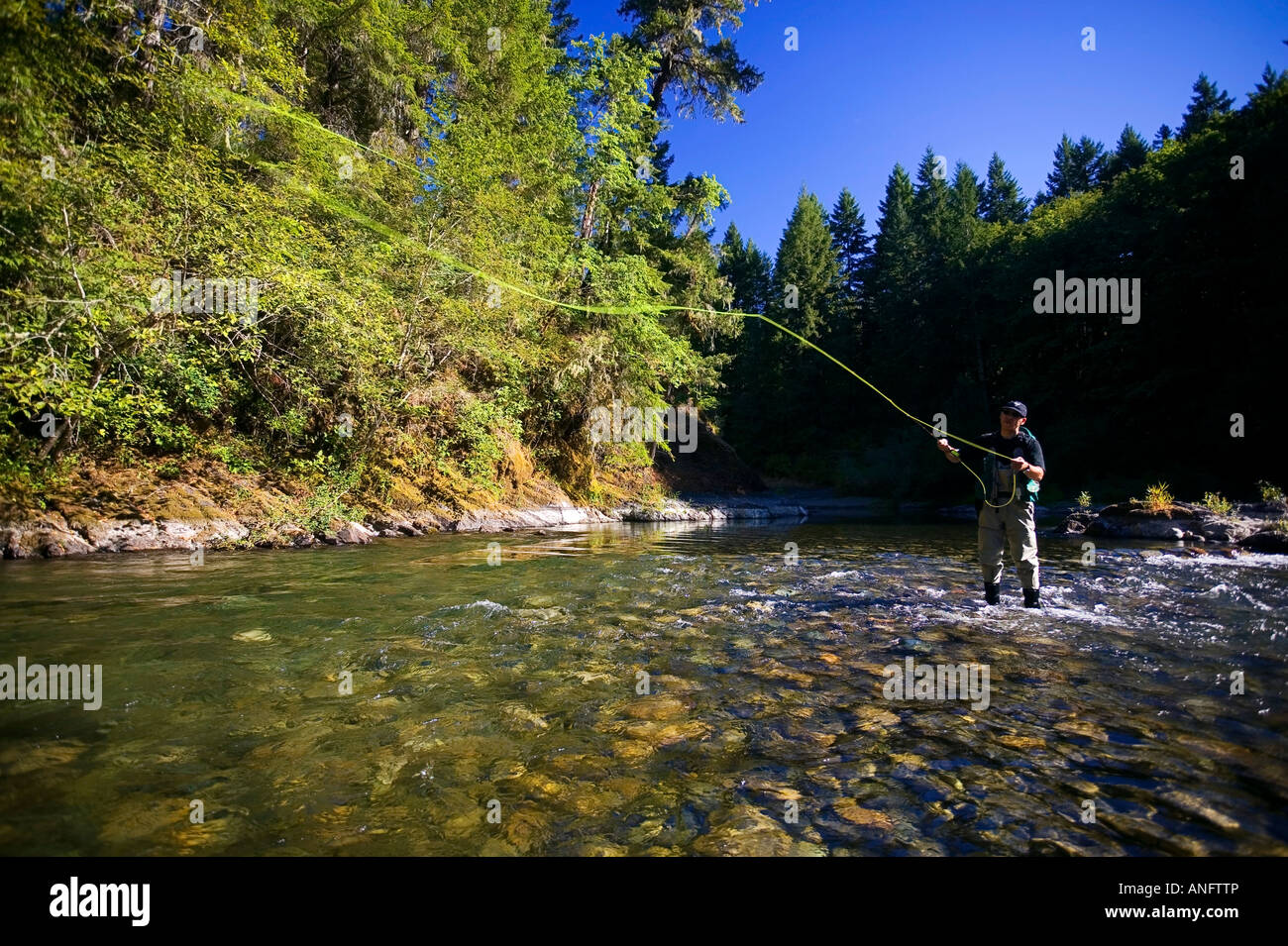 Pescador con mosca en el río Cowichan, cerca Skutz cae en el río Cowichan, Valle Cowichan, Isla de Vancouver, British Columbia, C Foto de stock