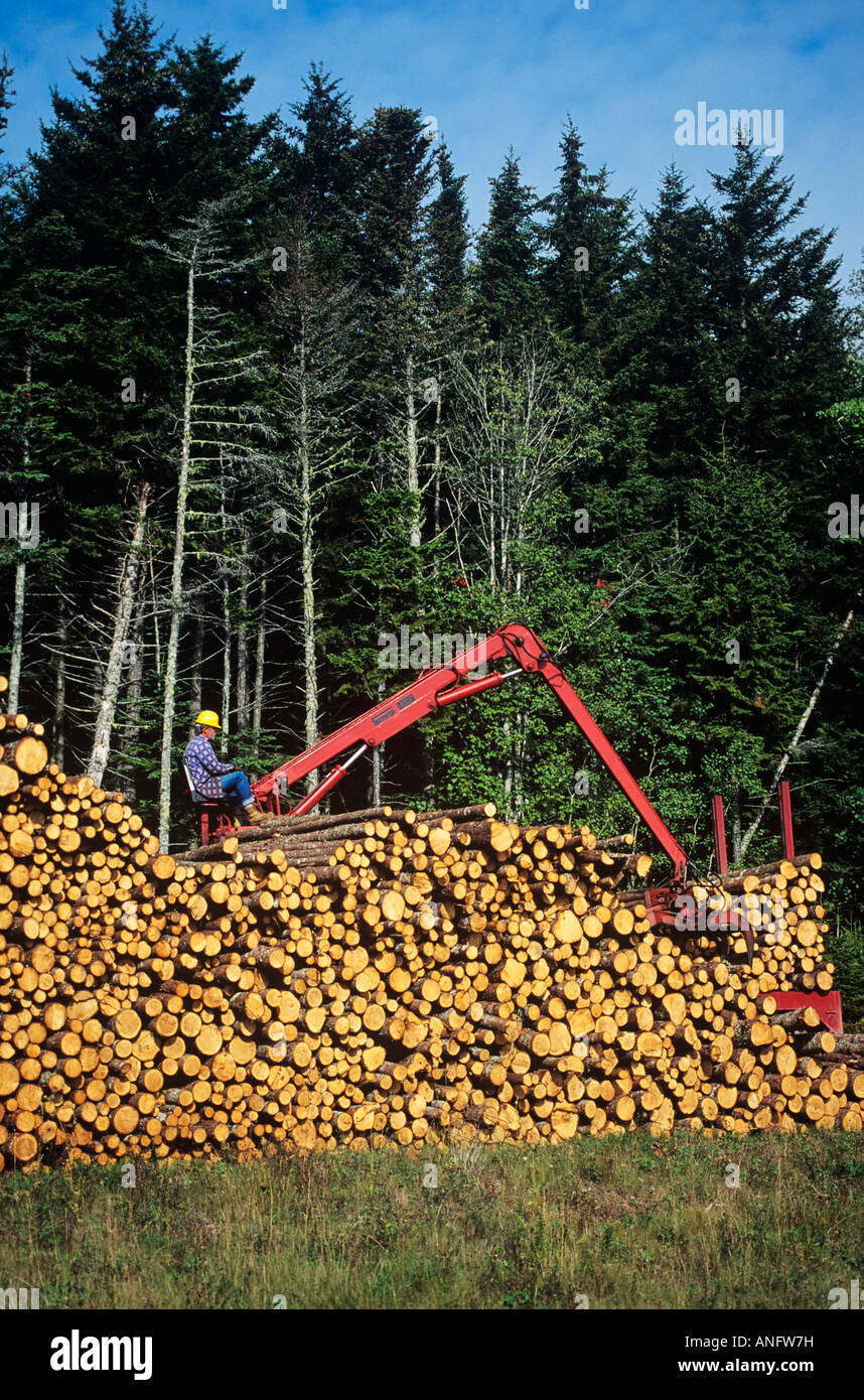La carga de la pulpa de madera, Sussex, New Brunswick, Canadá. Foto de stock