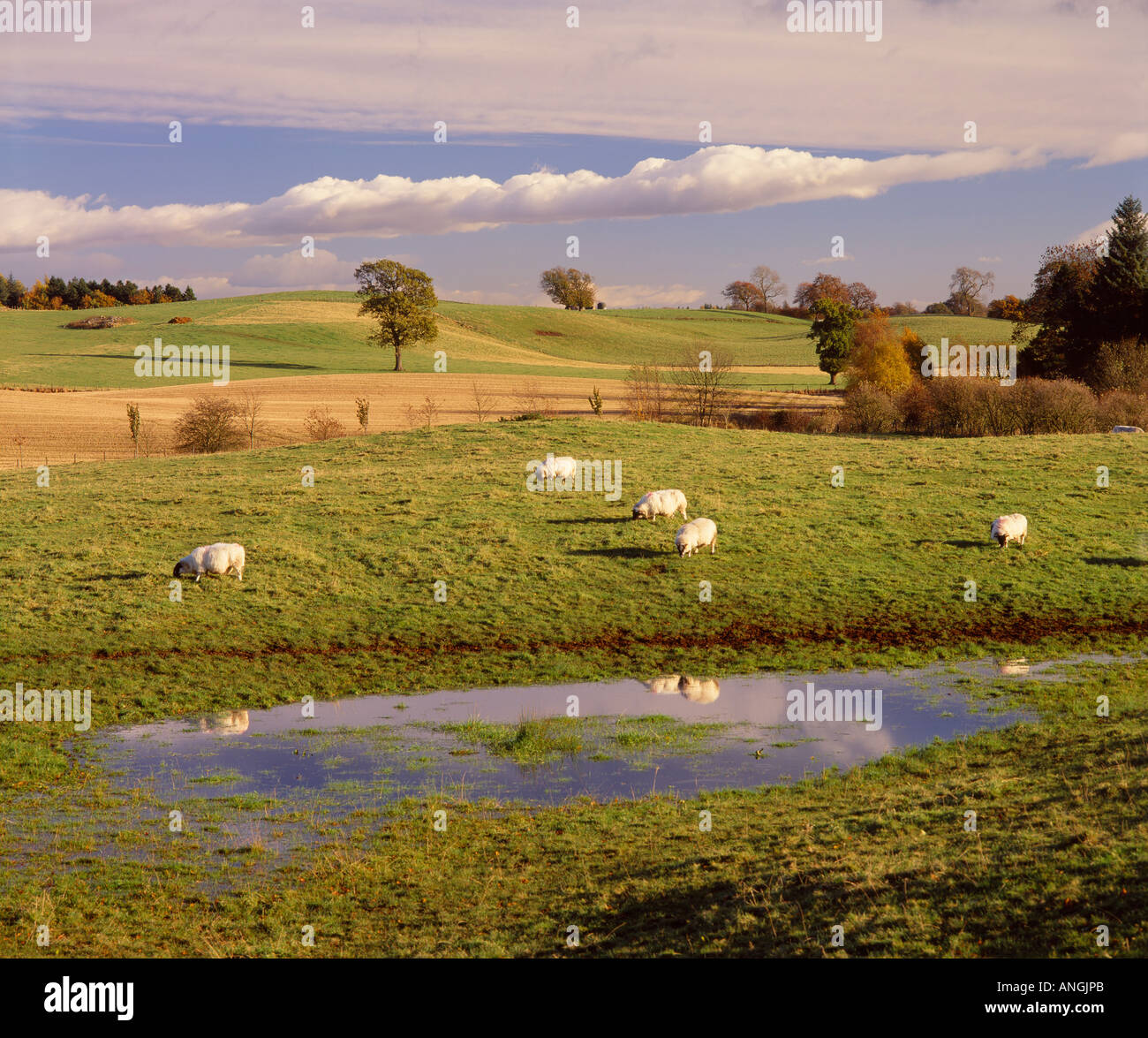 Batalla de sauchieburn fotografías e imágenes de alta resolución - Alamy