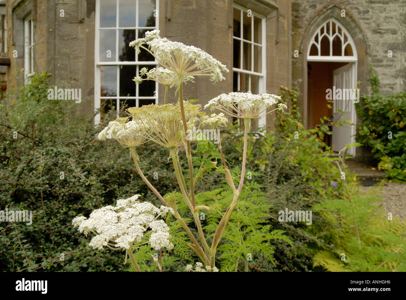 Jardines de la casa cluny fotografías e imágenes de alta resolución Alamy