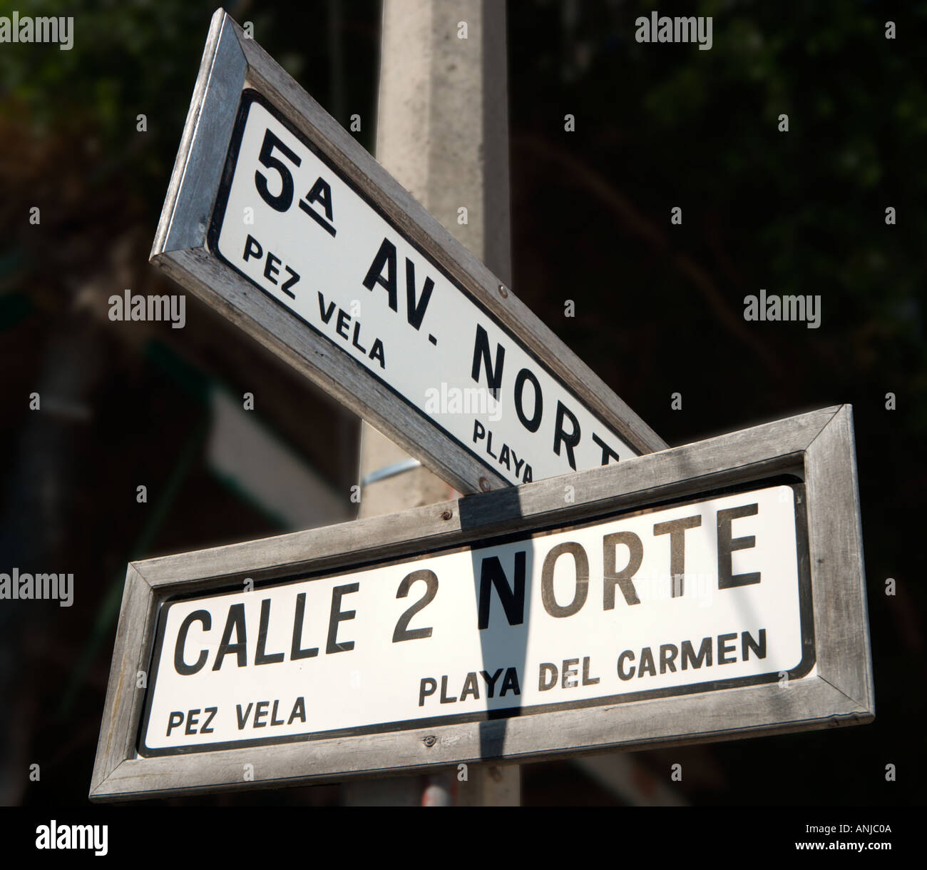 Signo de la Calle 5th Avenue, Playa del Carmen, Riviera Maya, la Península de Yucatán, México Foto de stock