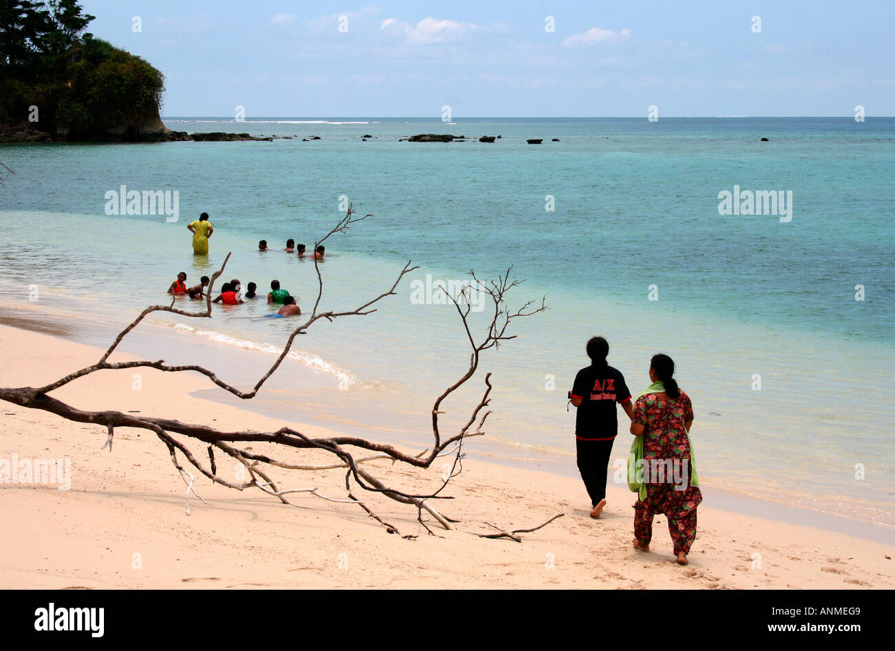 Deshojado las ramas de un árbol caído después del tsunami en el fondo del mar con bañistas en Jolly boya playa en Andam Foto de stock