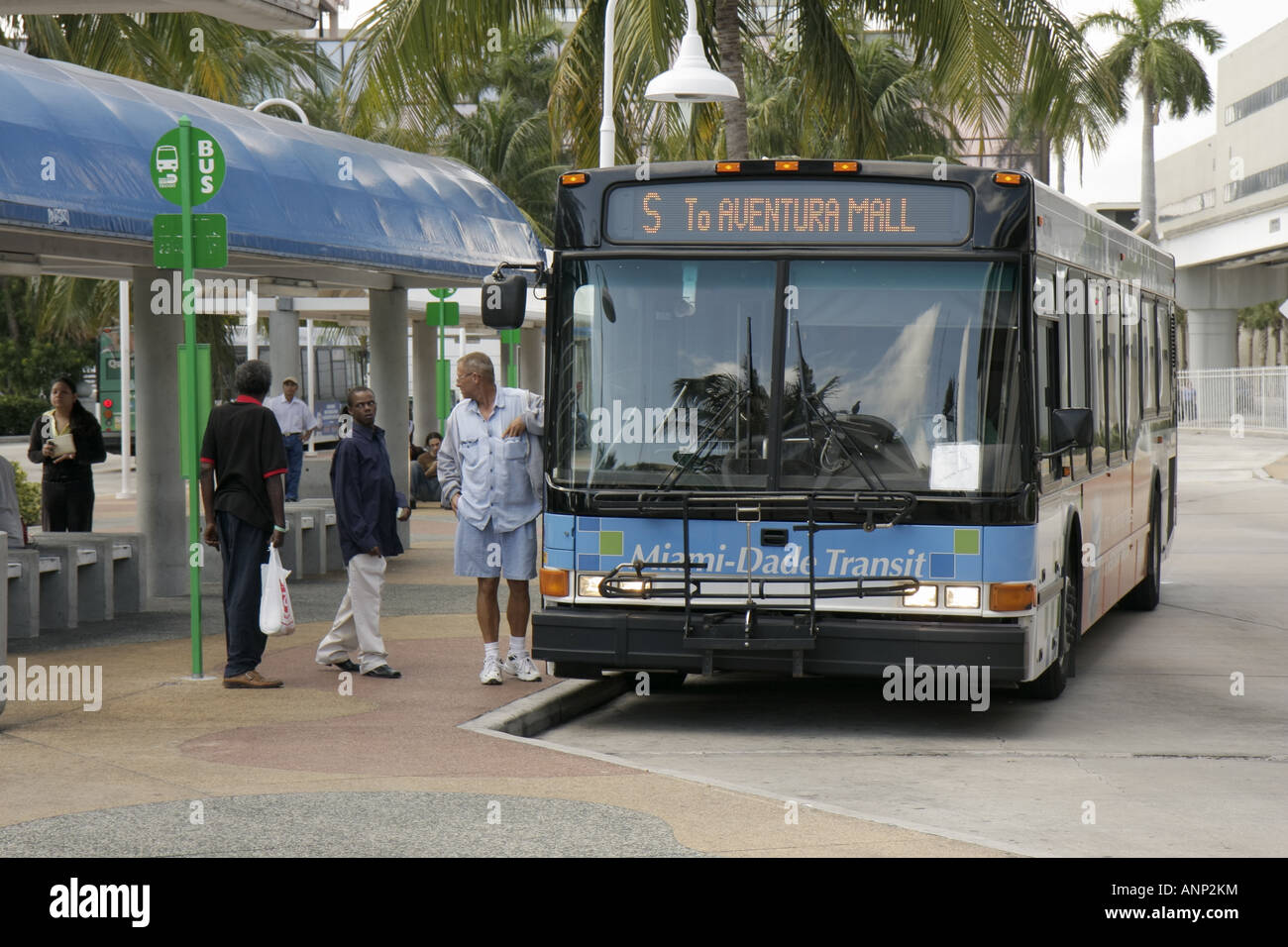 Miami Metro Dade Transit Bus