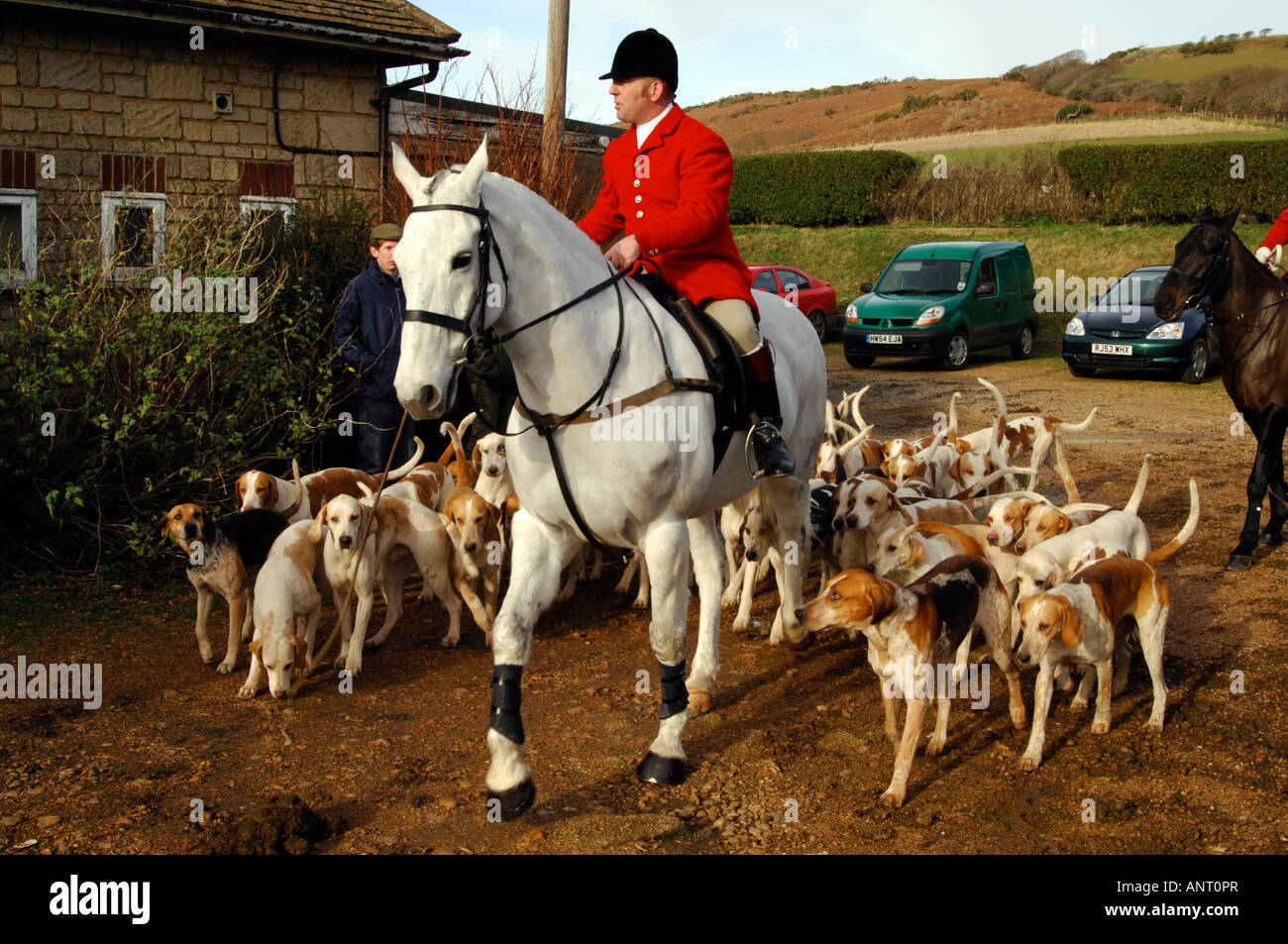 La caza con perros a la caza del zorro con perros y caballos prohibido  prohibido perseguir zorros Fotografía de stock - Alamy