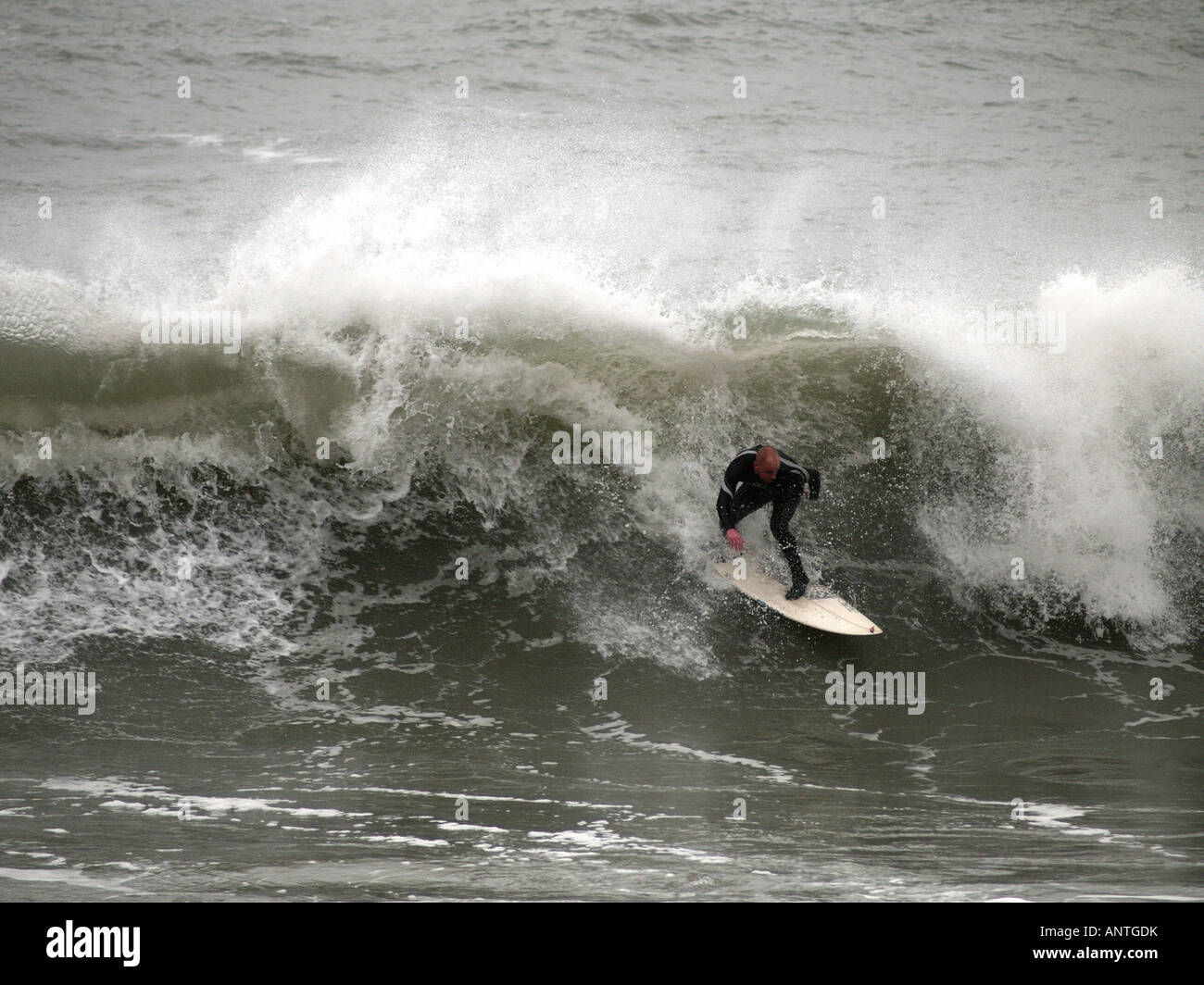 Surfer montando una ola en el invierno. Cornwall, U.K, 10 de enero de 2008. Foto de stock