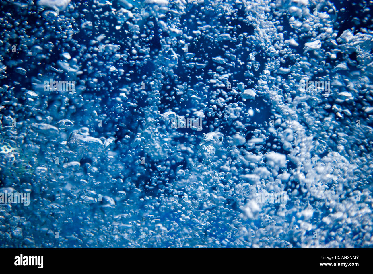 Ina burbujas subacuáticas piscina de agua salada Foto de stock