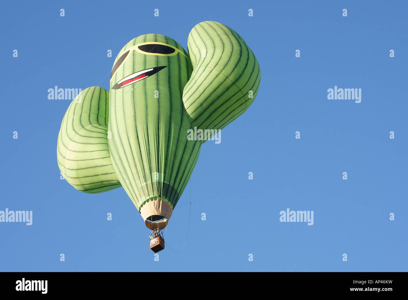 Cactus con forma de globo de aire caliente despega desde Albuquerque, NM Foto de stock