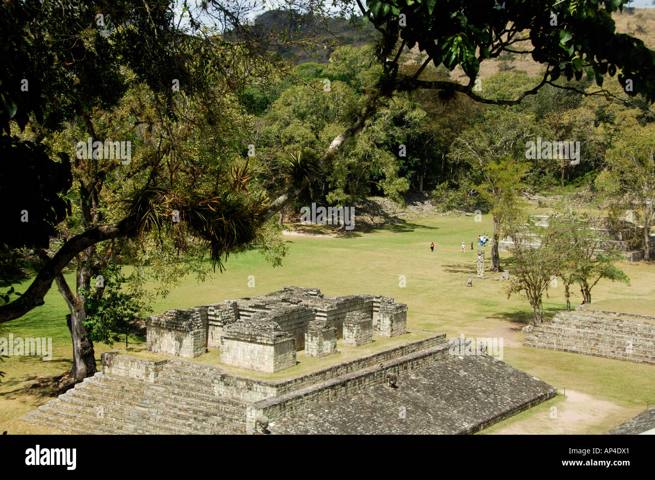 América Central, Honduras Copán (aka Xukpi en Maya). La Gran Plaza de