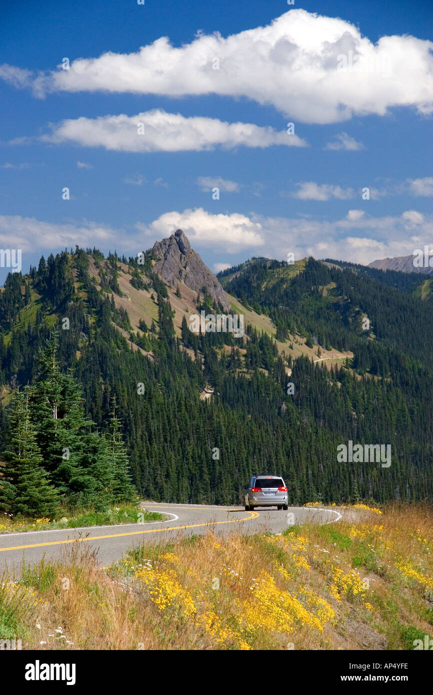 Una vista de Elk Mountain tomado de Hurricane Ridge en el Parque Nacional Olímpico en Washington Foto de stock