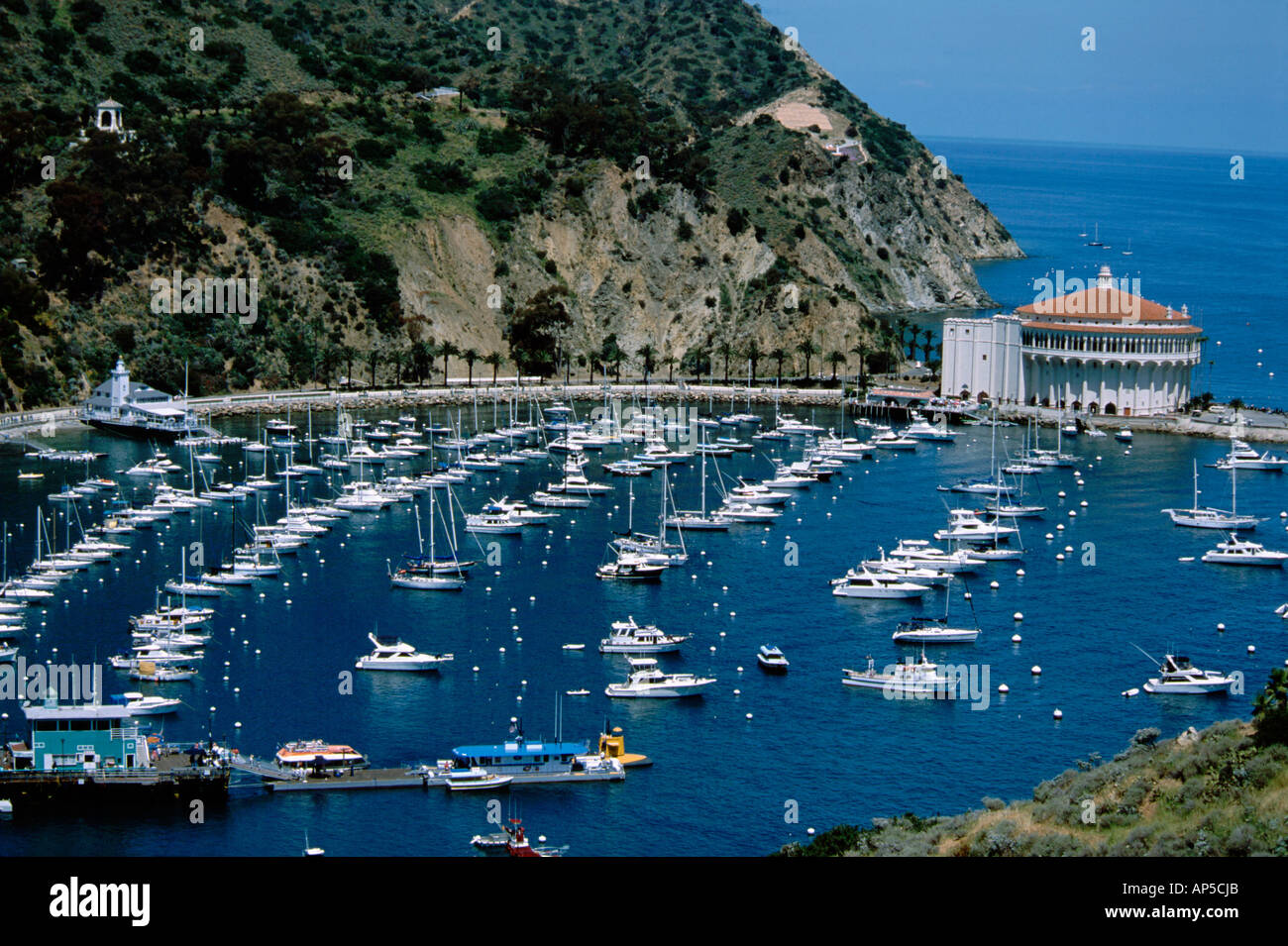 América del Norte, California, Estados Unidos, la Isla Catalina, el