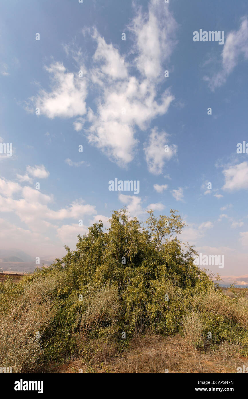 Мужские горчичные кроссовки от Jordan, 9,521 руб. | farfetch.com | Лукастик
