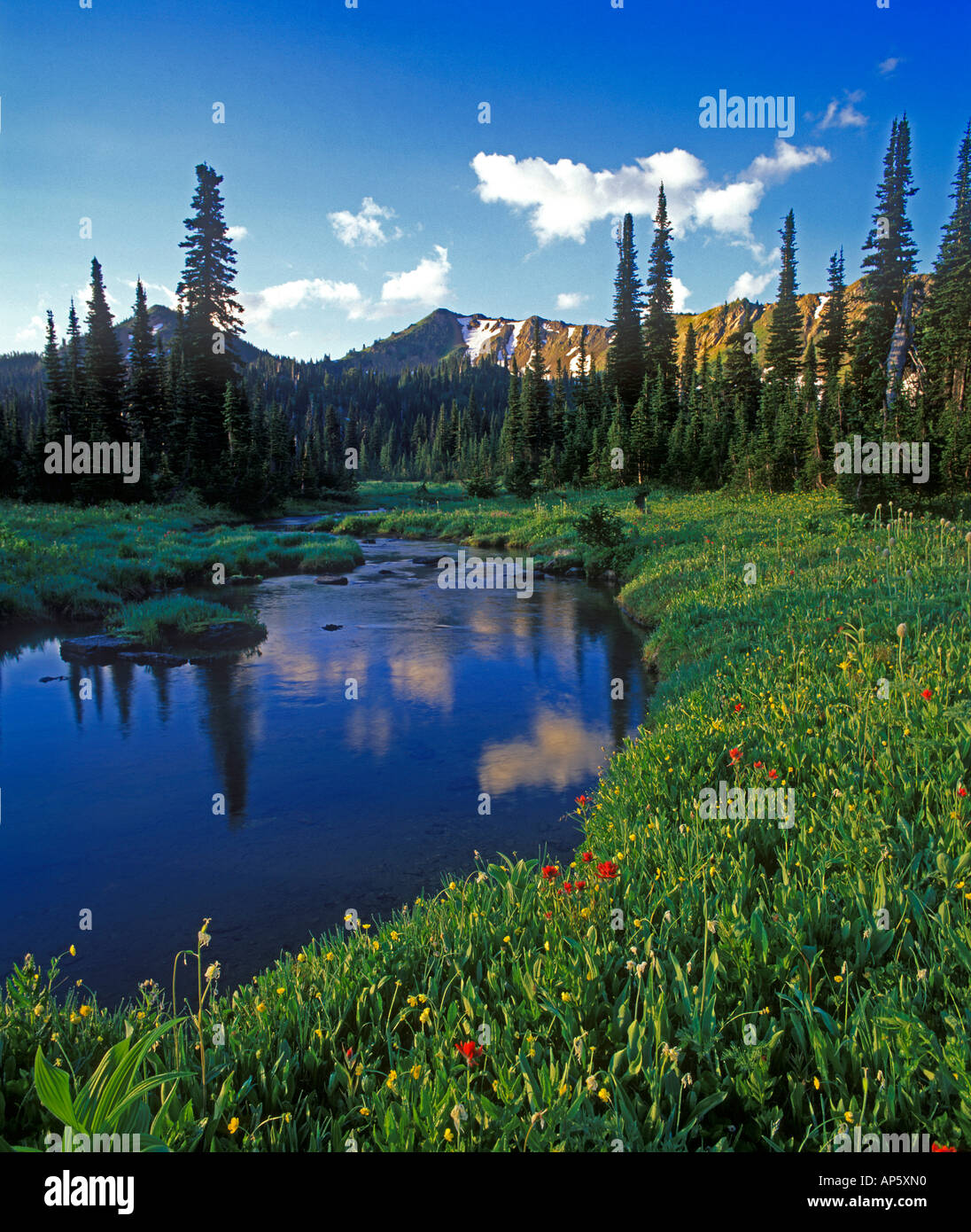 Picnic en la cuenca del arroyo la joya en el cisne Gama de Montana  Fotografía de stock - Alamy