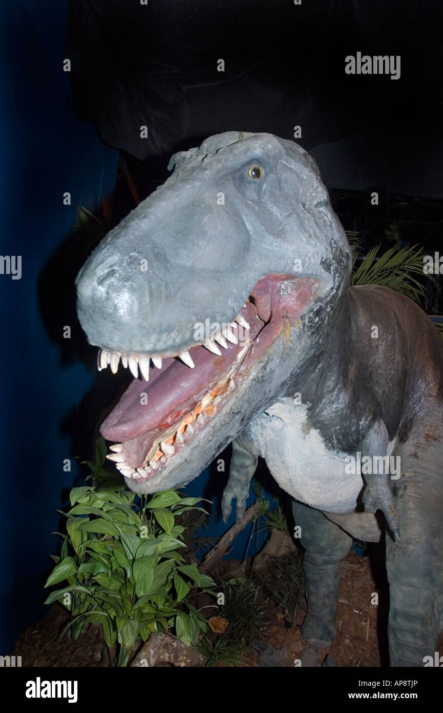 Tyrannosaurus Rex a finales del período Cretácico de 65 a 85 millones de años. Foto de stock