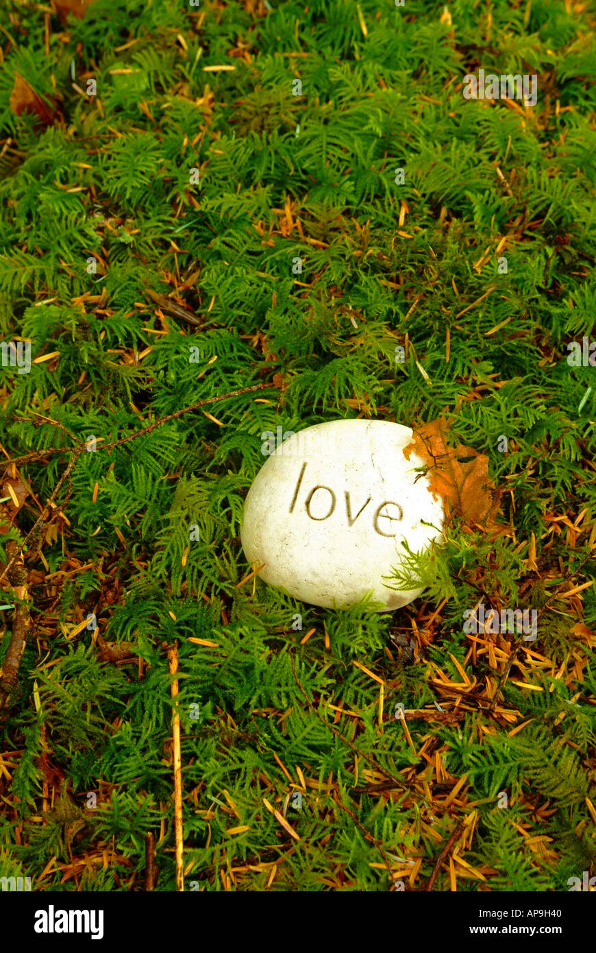 Con la palabra amor en piedra tallada en el musgo en un bosque Foto de stock