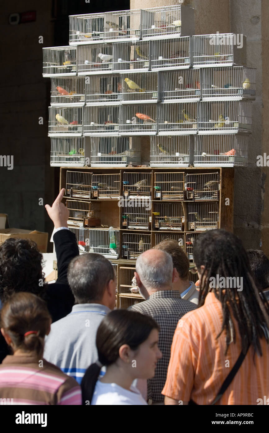 Las aves enjauladas en venta mercado dominical de Plaza Nueva, Bilbao