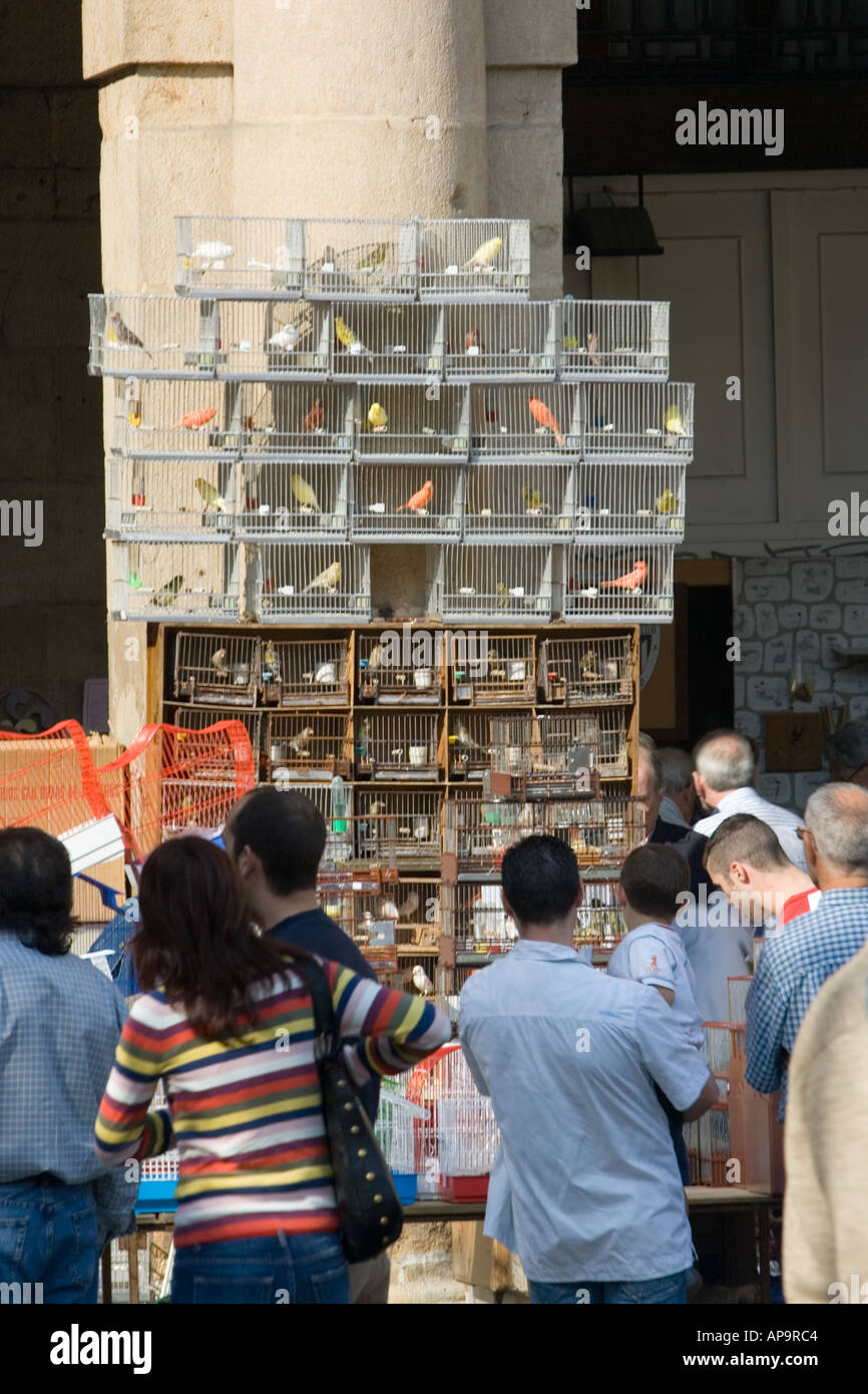 Las aves enjauladas en venta mercado dominical de Plaza Nueva, Bilbao