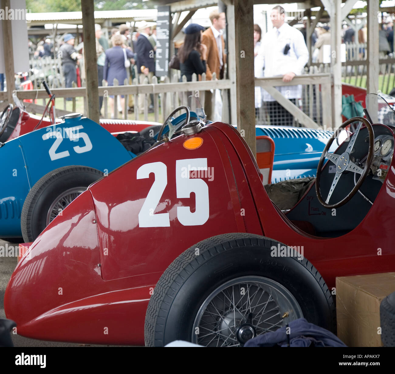 Cincuenta coches de carreras en la zona de paddock el Renacimiento festival Goodwood Sussex, UK Foto de stock