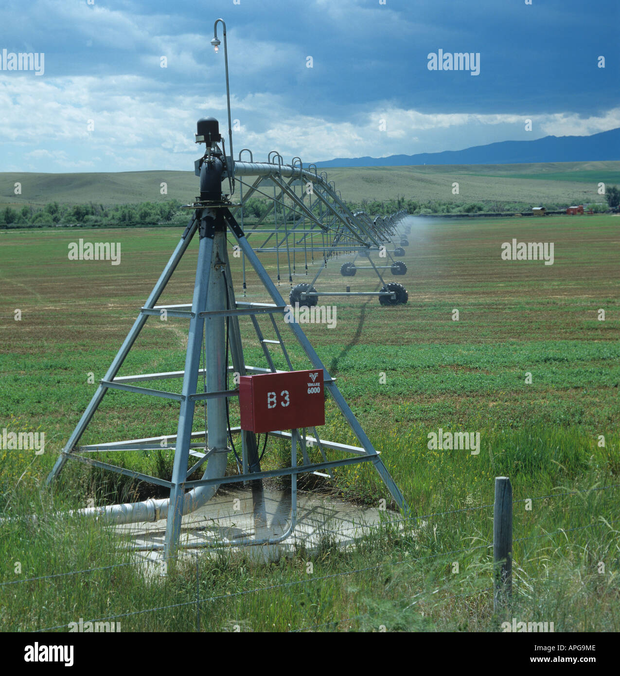 Girar la pluma regar cultivos de alfalfa de rociadores poco después del corte de Montana EE.UU. Foto de stock