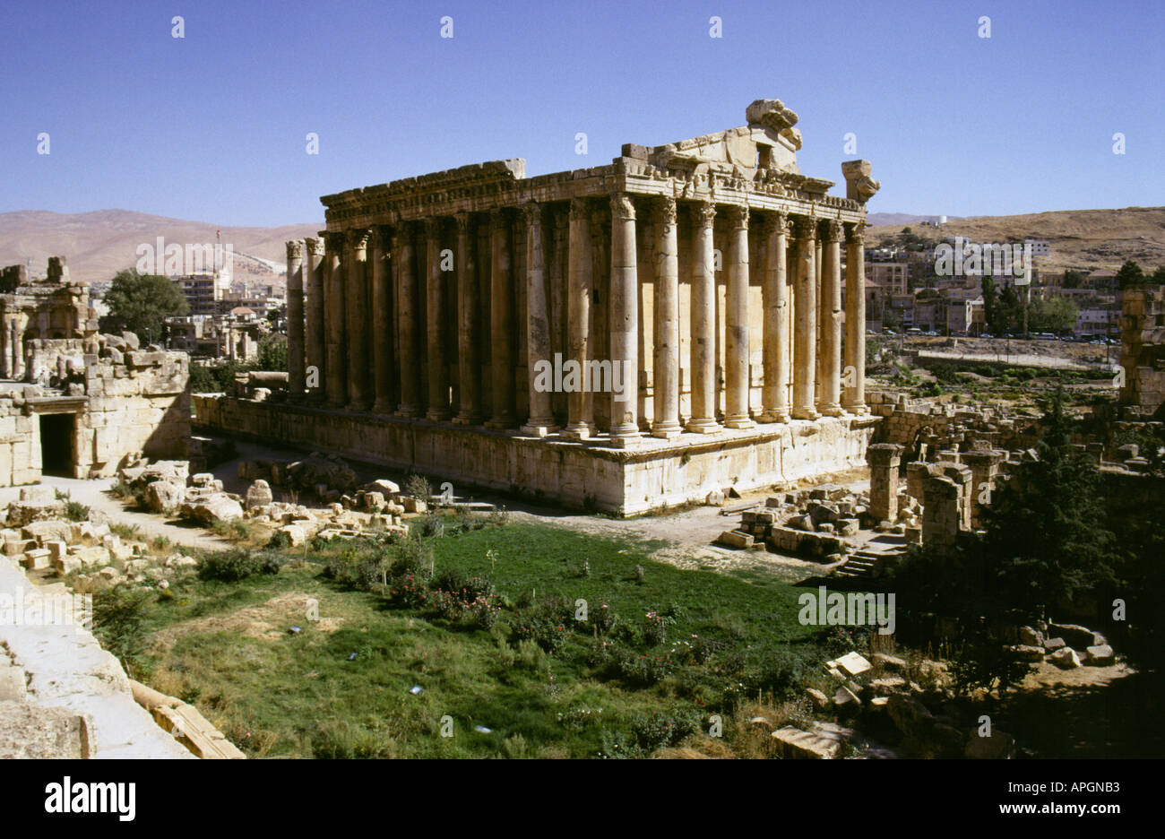 Templo de Baco, Baalbek, Líbano Foto de stock