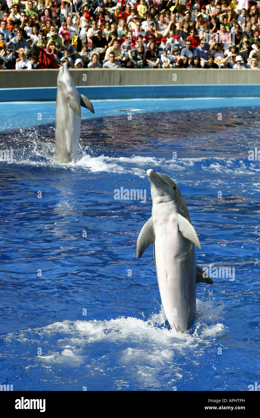 Zoo acuario madrid fotografías e imágenes de alta resolución - Alamy