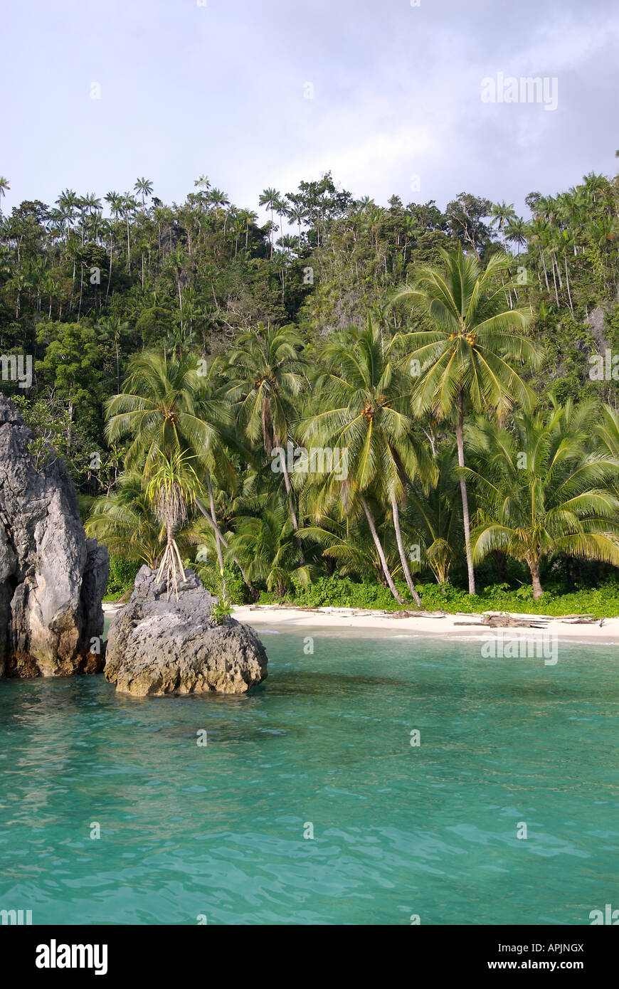 Líder de la Jungla de Indonesia tropical de las prístinas playas de la región de la Bahía de Triton de Irian Jaya, Indonesia Foto de stock