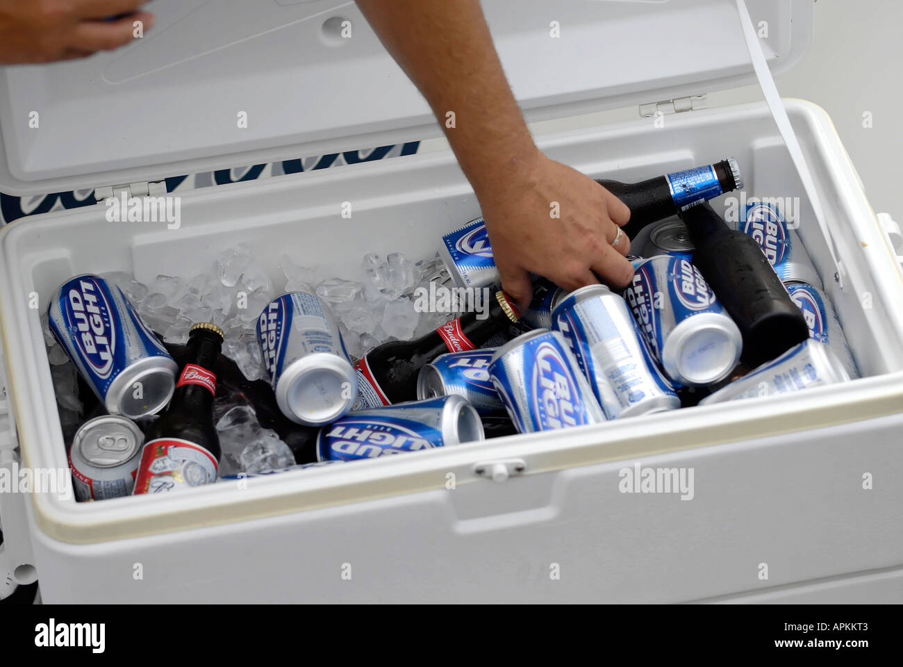 Mano que alcanza para la cerveza de un refrigerador lleno de hielo  Fotografía de stock - Alamy