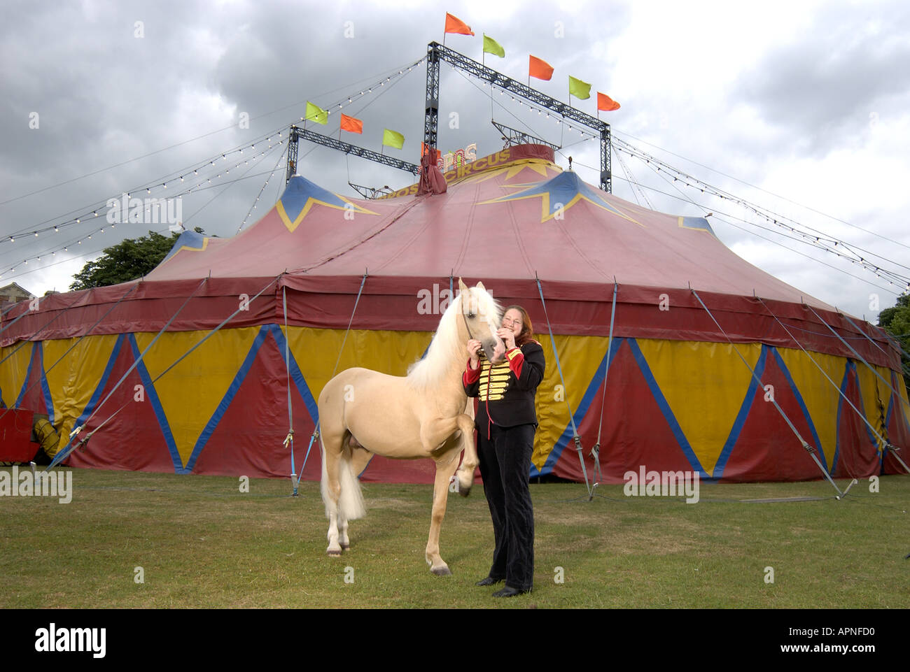 Circus horse trainer fotografías e imágenes de alta resolución - Alamy