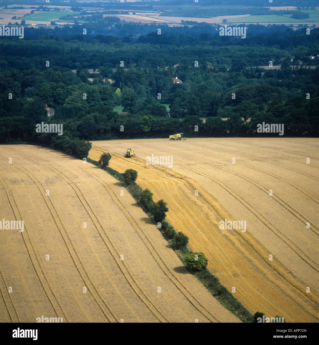 Vista aérea de los cultivos de trigo madura con las cosechadoras en un campo Berkshire Foto de stock