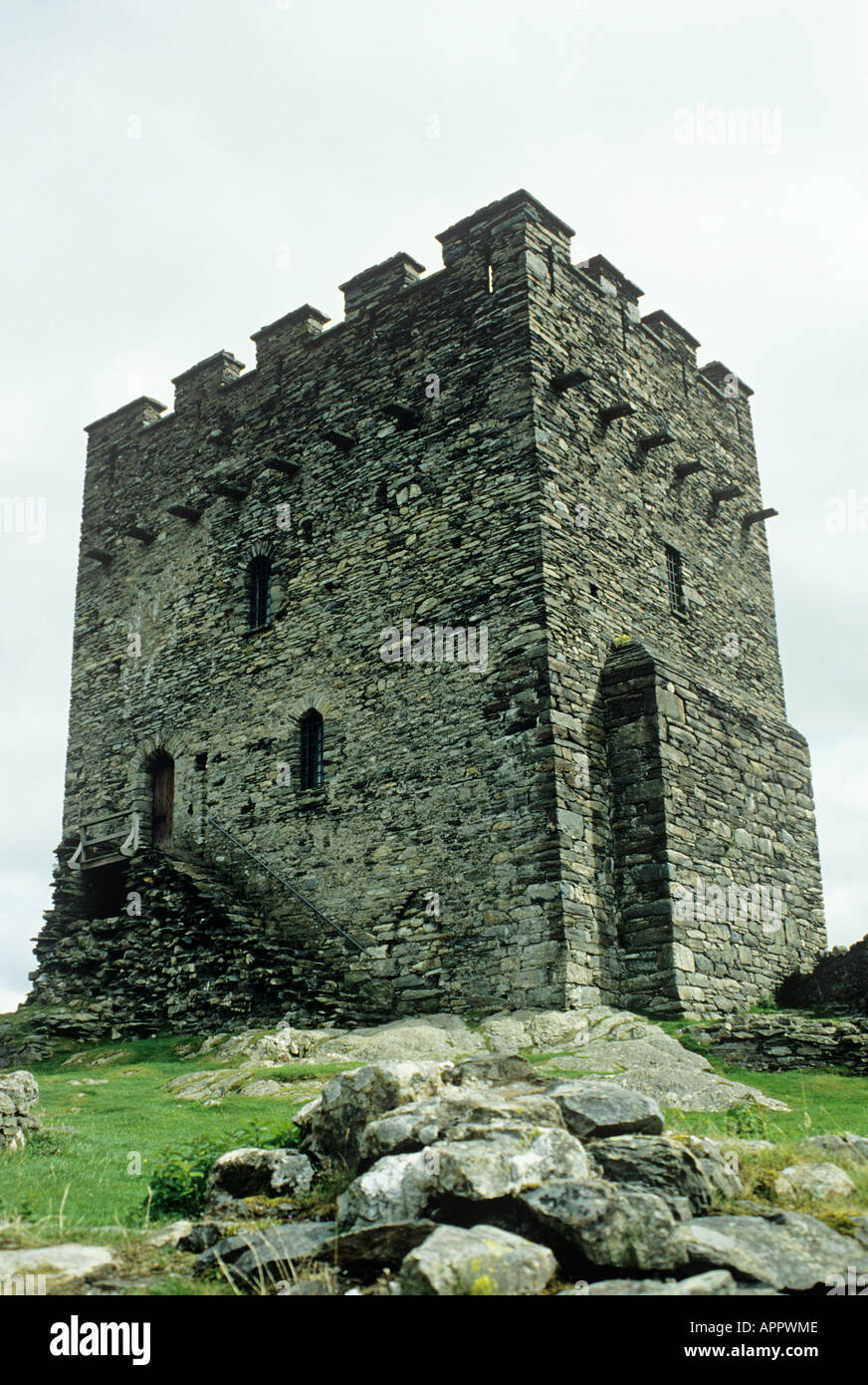 Aguerridos torre rectangular del siglo xiii mantenga Dolwyddelan Castle Snowdonia Foto de stock