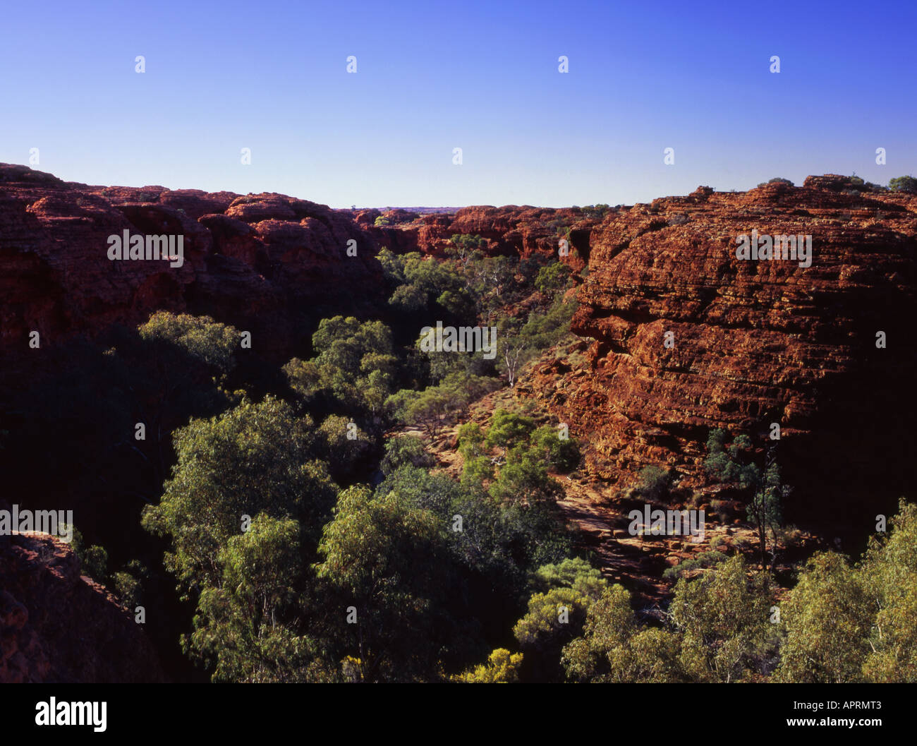 El Parque Nacional Watarrka Kings Canyon Australia Northern Territory Foto de stock