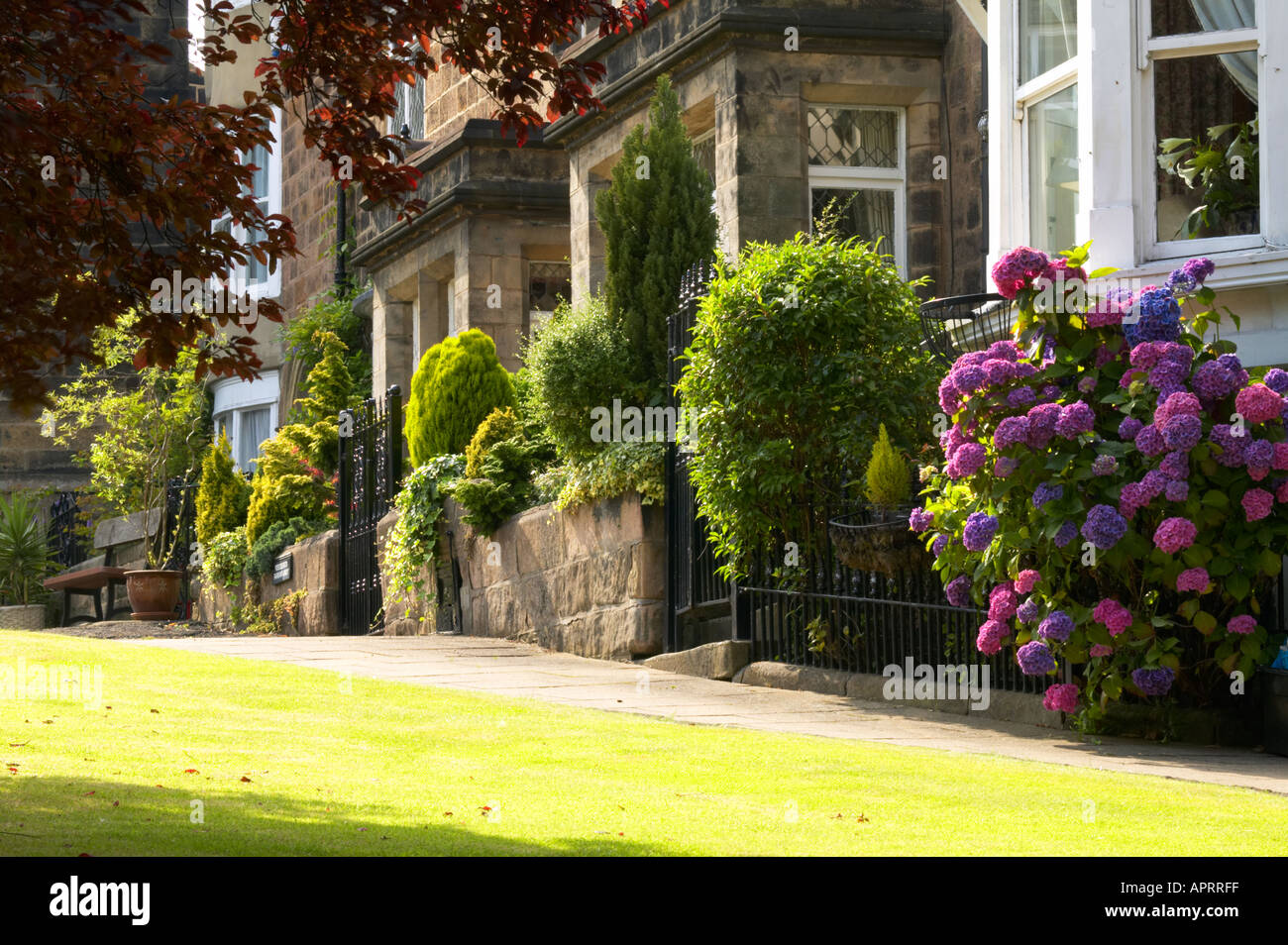 Las Grandes Casas Unifamiliares Con Pequenos Jardines Delanteros Harrogate Yorkshire Fotografia De Stock Alamy