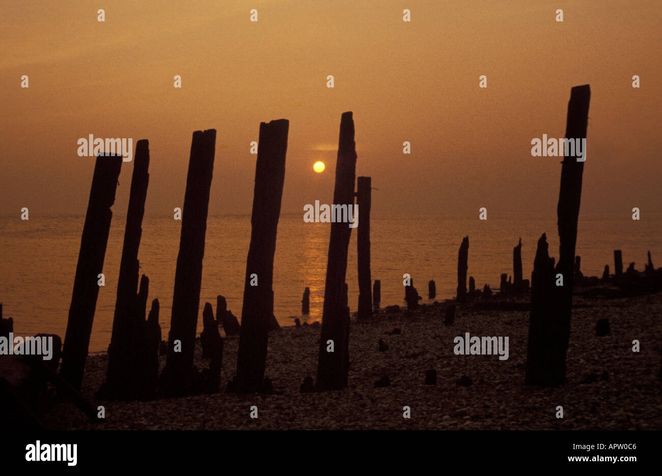 Maderas antiguas esbozado en contra de la puesta de sol sobre el estuario Humber en Hessle Foto de stock