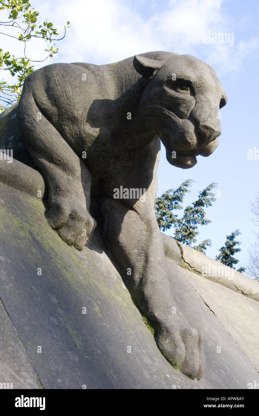 Puma/Mountain Lion/cougar en la cima de la pared animales Castillo de Cardiff St Foto de stock