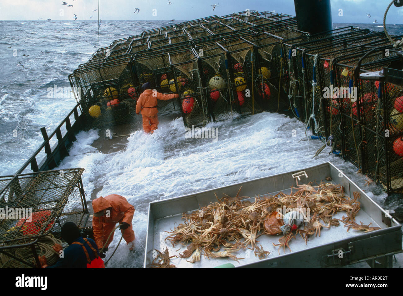 El trabajo de pescador en la cubierta de intemperie del Mar de Bering AK  /nOpilio Cangrejo temporada F/V Erla N Fotografía de stock - Alamy