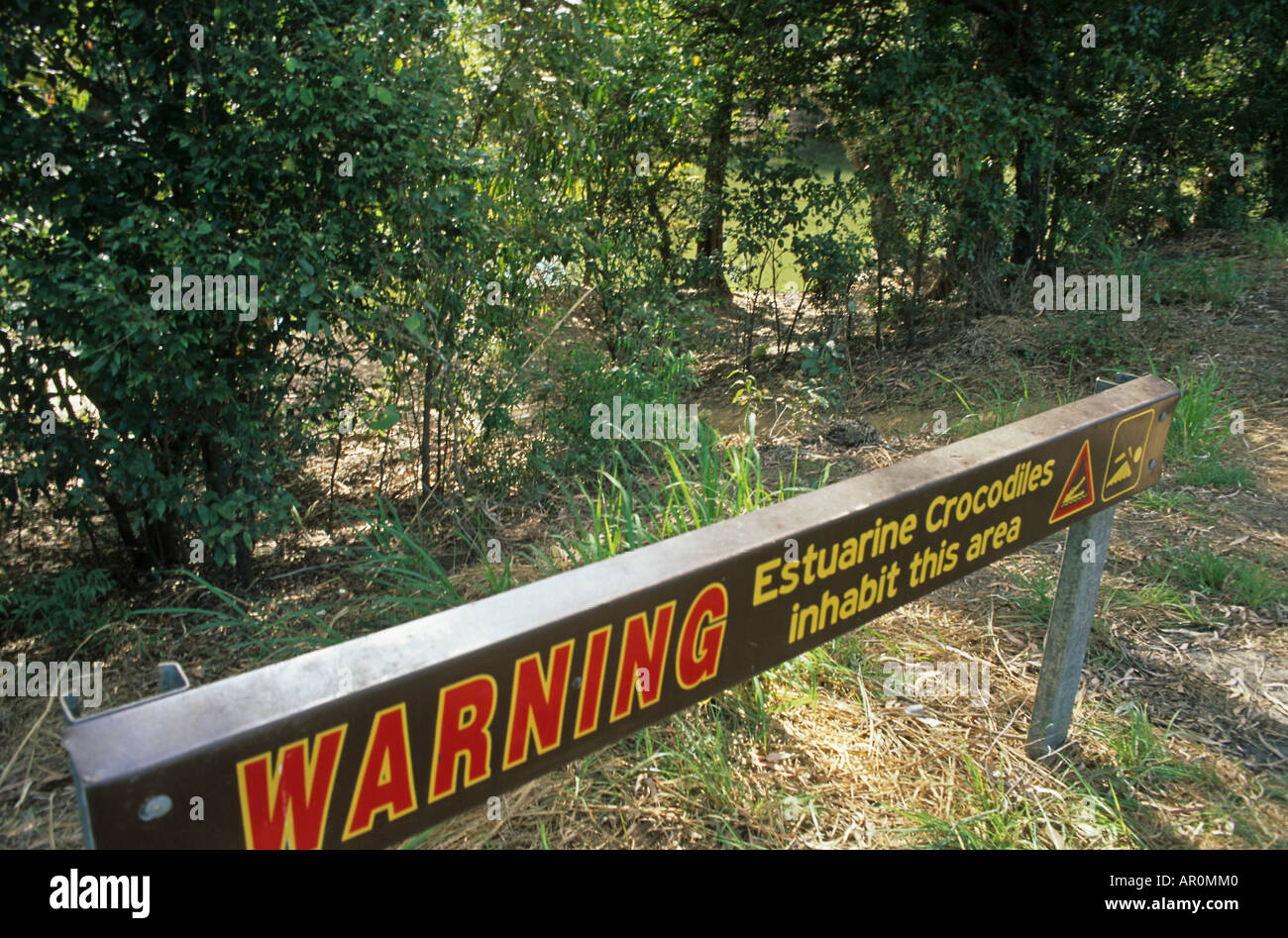 Señal de advertencia, el Cocodrilo Australien, Australia, nt señal de advertencia sobre la playa como los cocodrilos estuarinos infestan el golfo de la Carpa Foto de stock