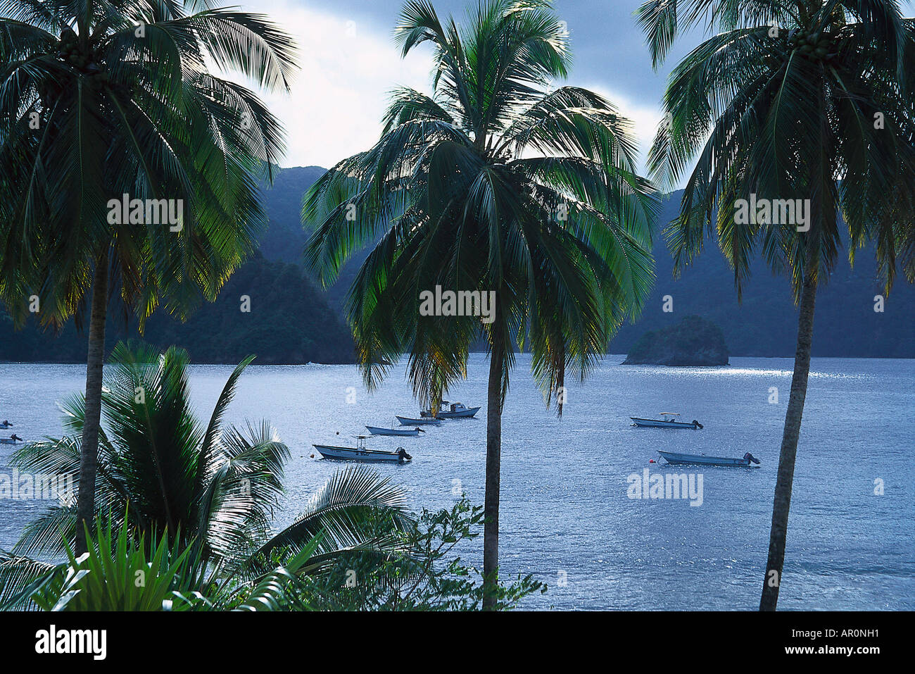 La Bahía Pirata bei Charlotteville, Tobago, West Indies, Karibik Foto de stock