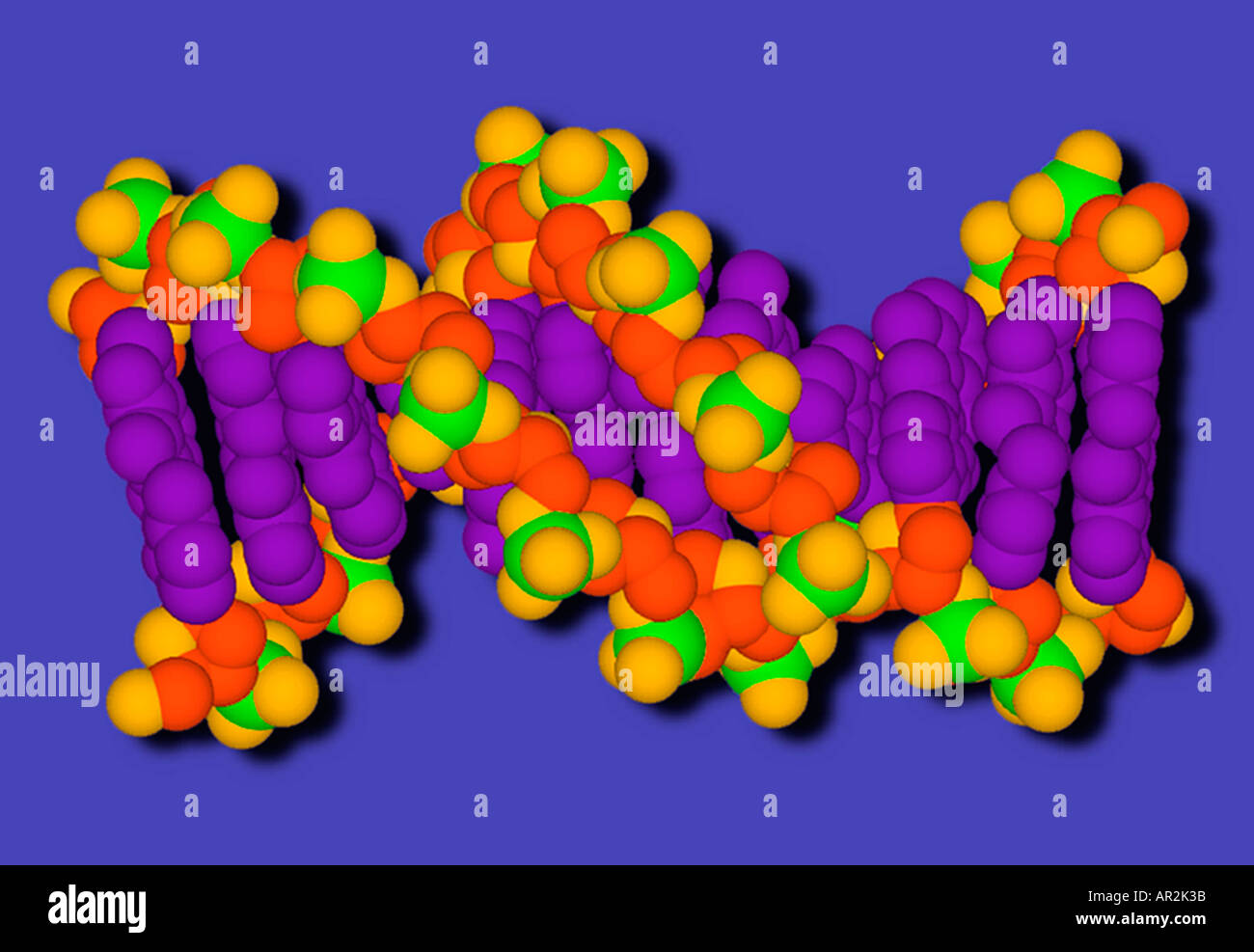 modelo de ADN de fosfato