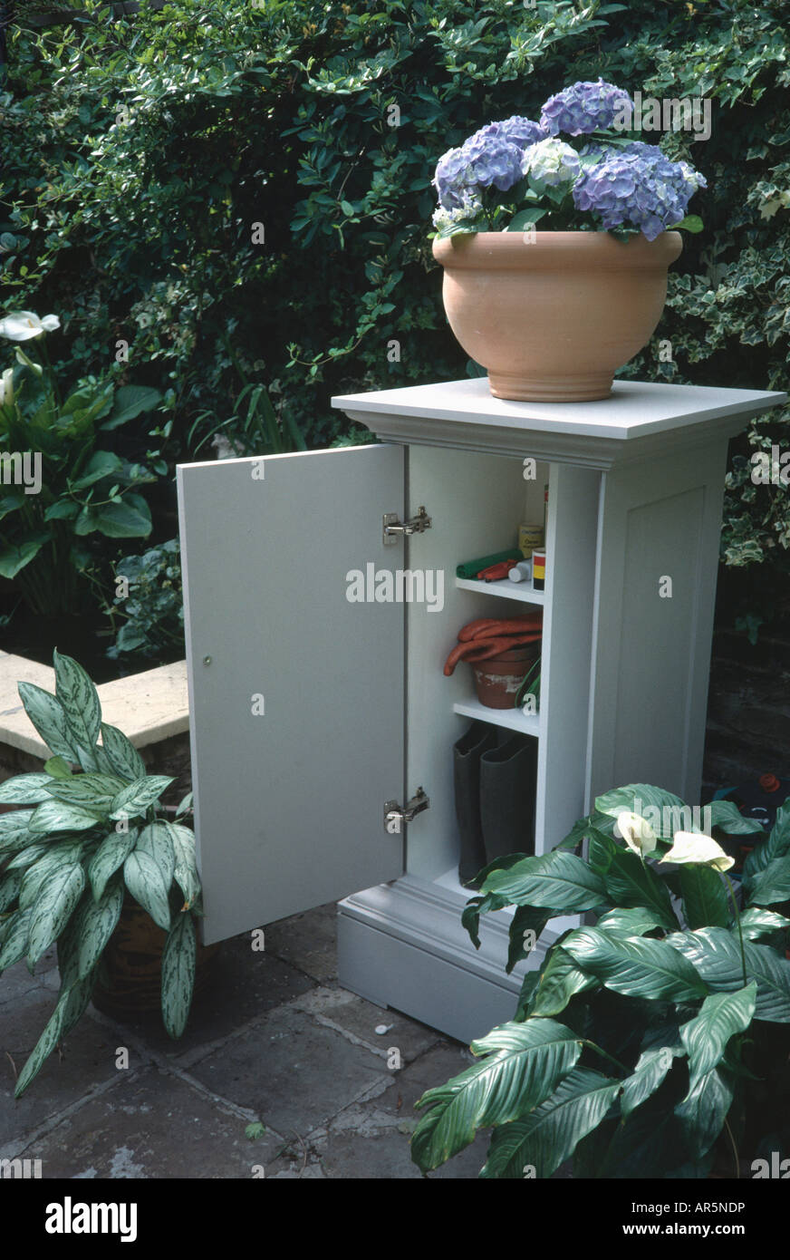 Hydrangea en maceta de barro en la pequeña piscina armario con puerta  abierta Fotografía de stock - Alamy