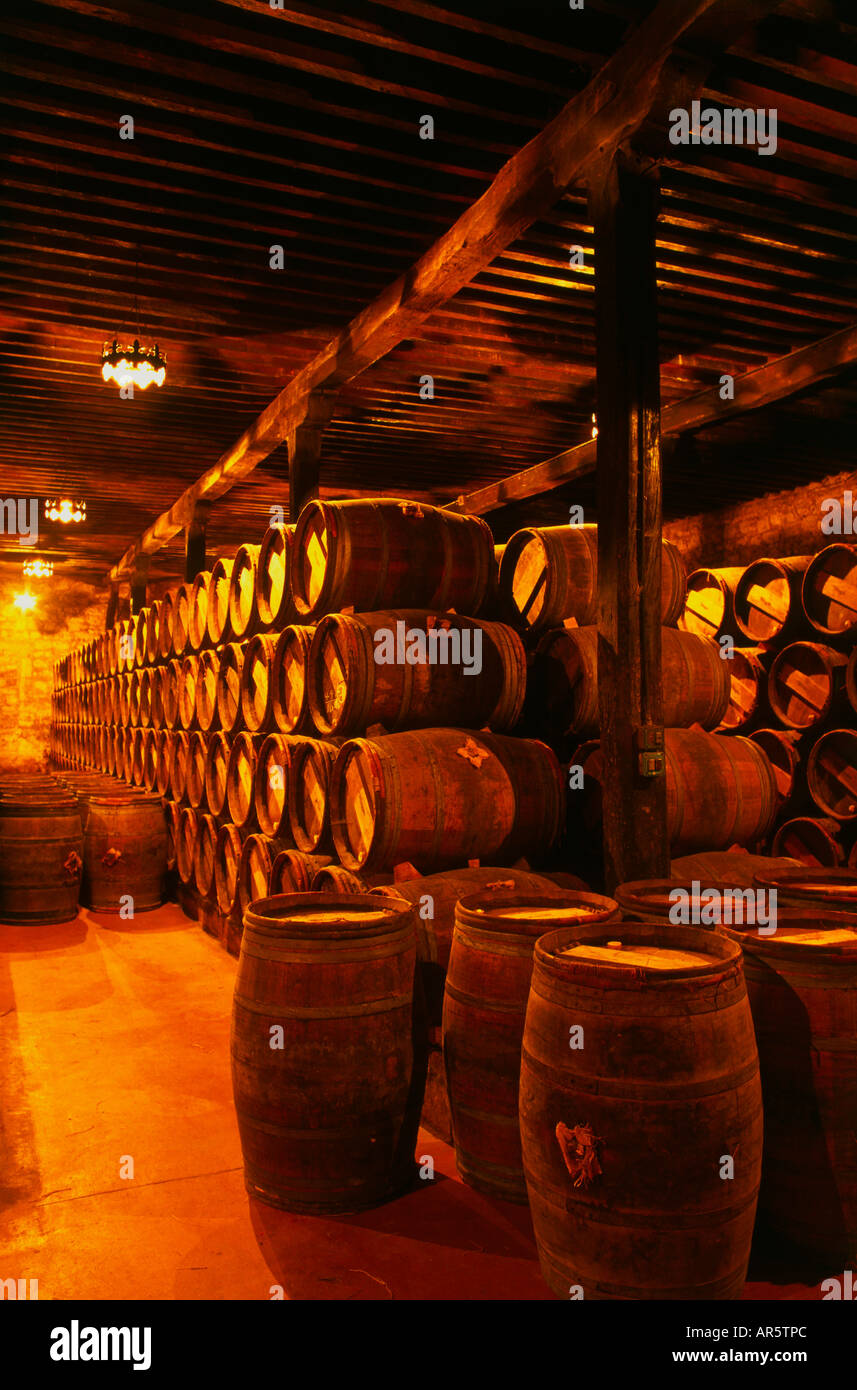 Bodega de vinos de la bodega Bodegas Muga", Haro, La Rioja, España Foto de stock