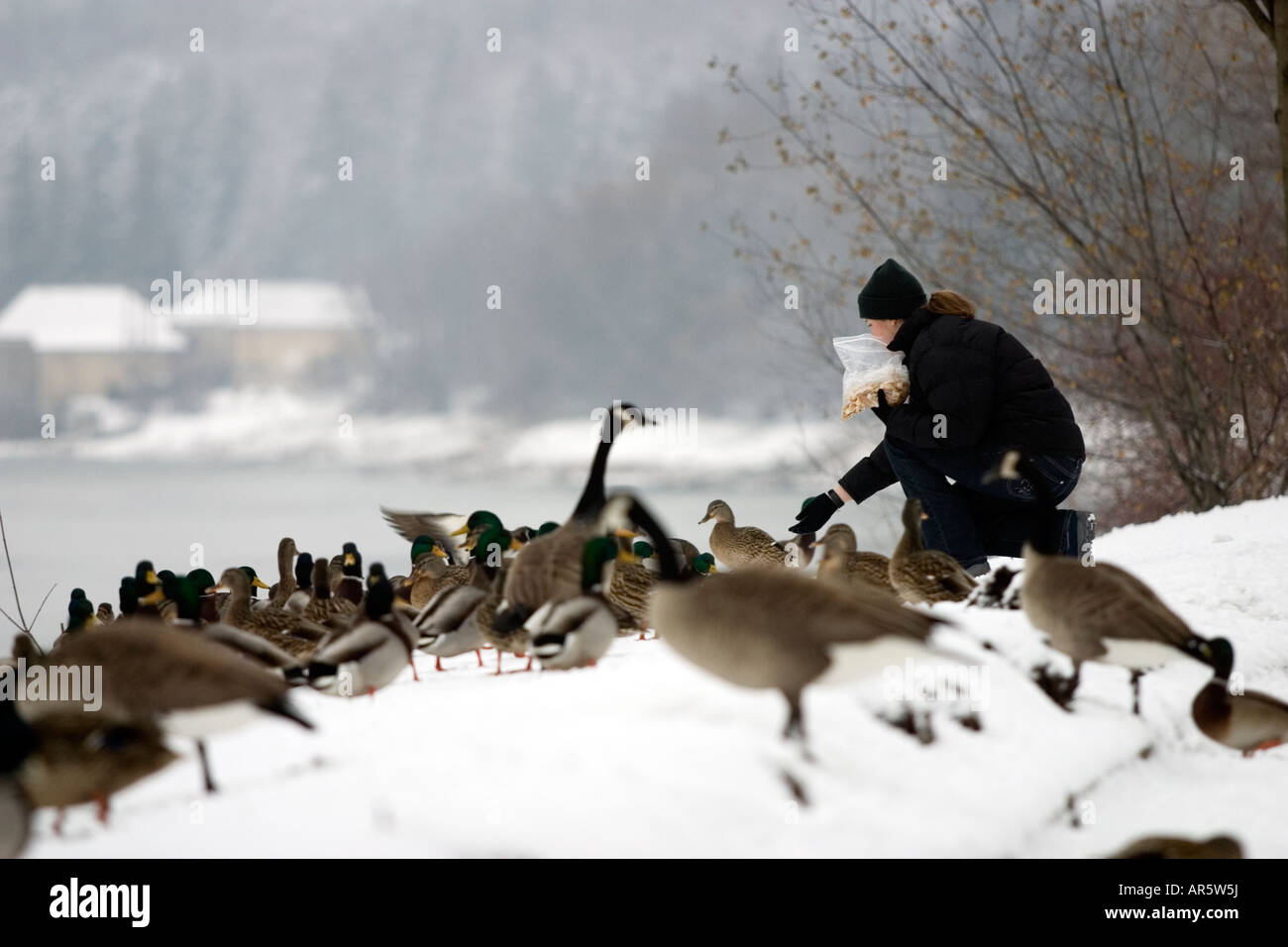 Canada goose cheap londres queretaro