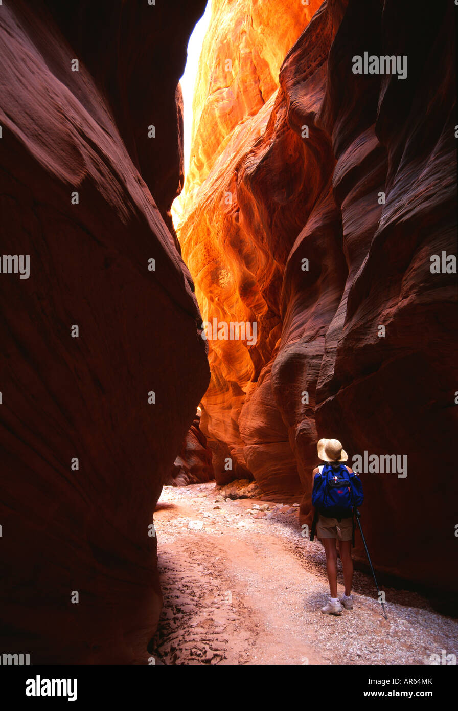 Mujer senderismo en Buckskin Gulch ranura Paria-Vermillion canyon, Desierto, Utah Foto de stock