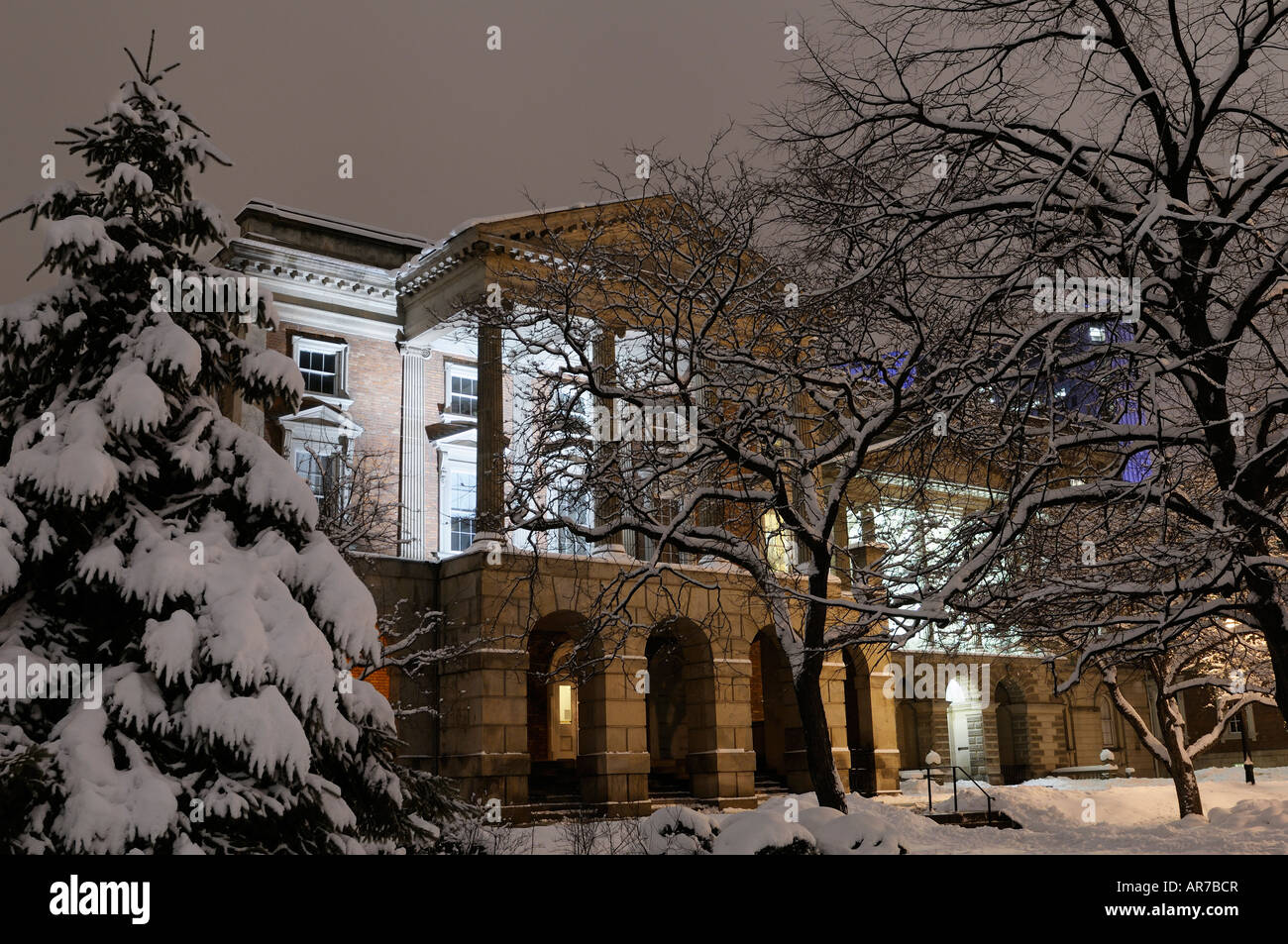 Árbol cubierto de nieve en la parte delantera de la Osgoode Hall Law Society Toronto West Wing en invierno Foto de stock