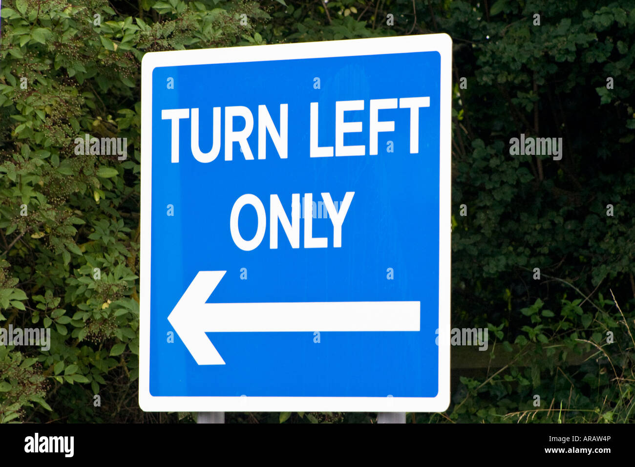 Gire a la izquierda en azul cuadrado sólo señales de carretera Foto de stock