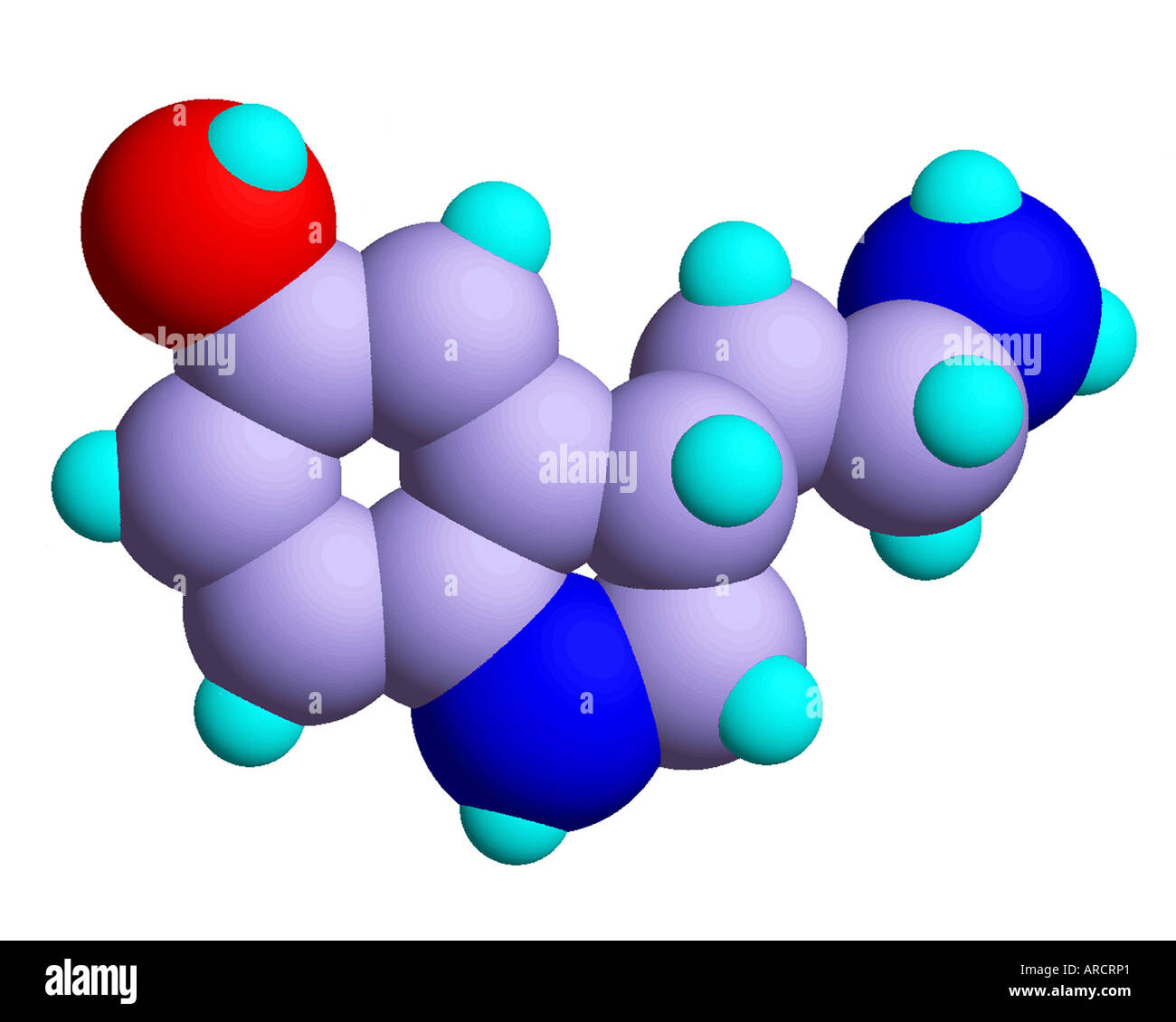 Modelo molecular de la serotonina. Carbono: lila, oxígeno: rojo, azul,  nitrógeno: Hidrógeno: aqua Fotografía de stock - Alamy